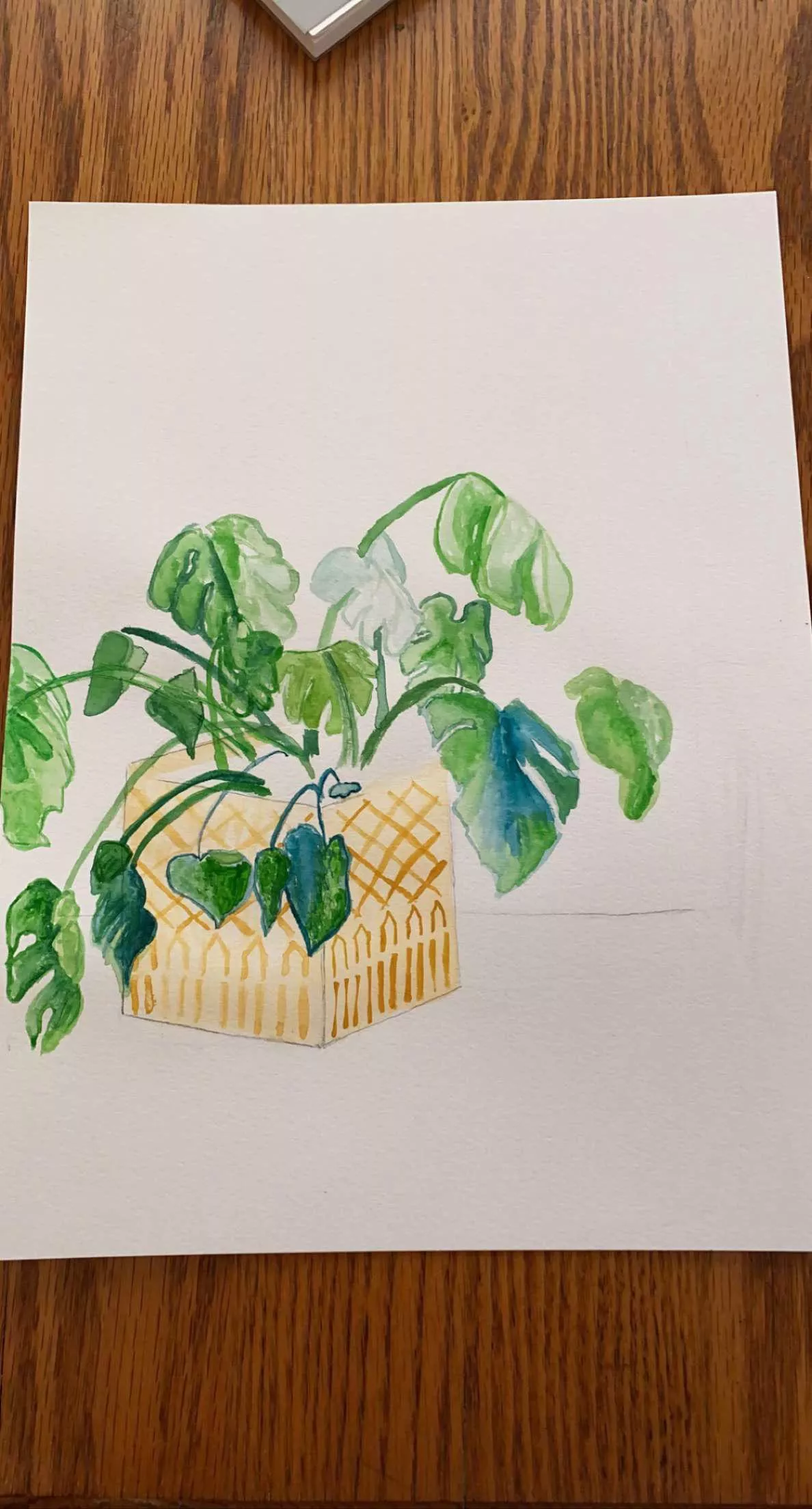 Started a still life for ddy today ðŸ‘©â€ðŸŽ¨â˜ºï¸ (new to watercolorsðŸ˜¬)