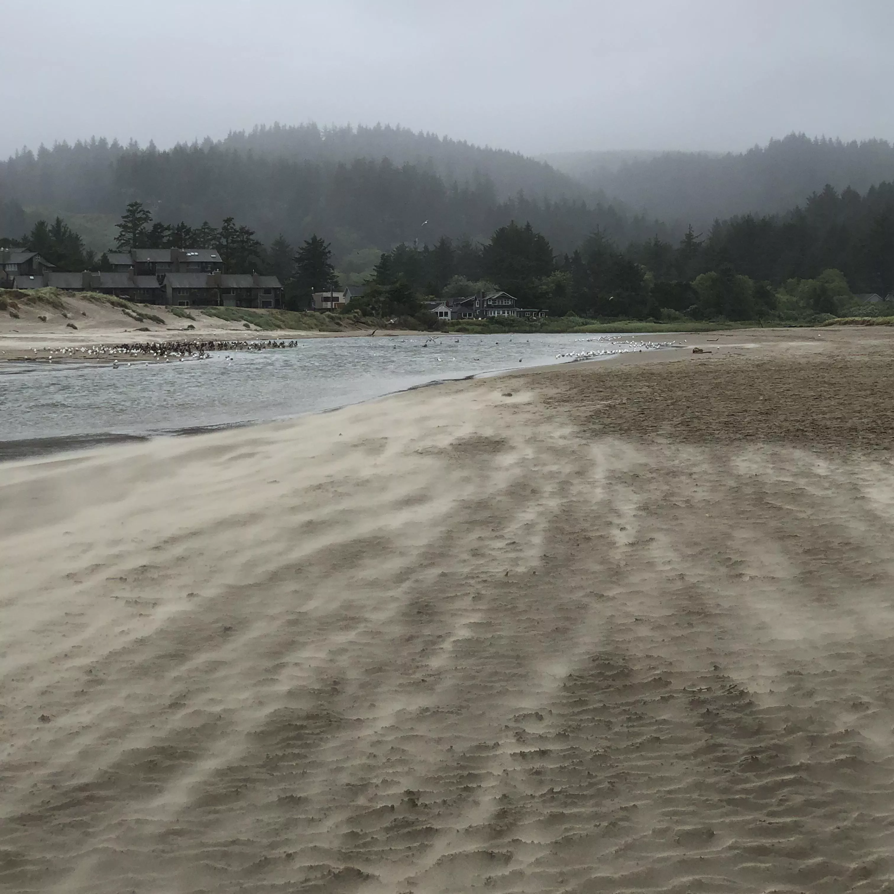 Strong Winds Pulling the Sand on the Oregon Coast