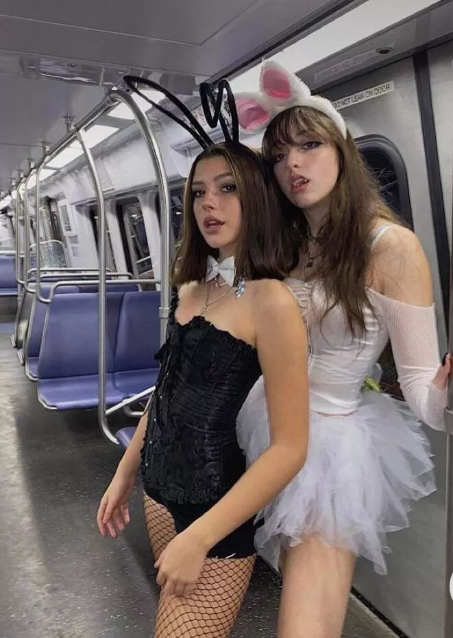 Subway bunnies