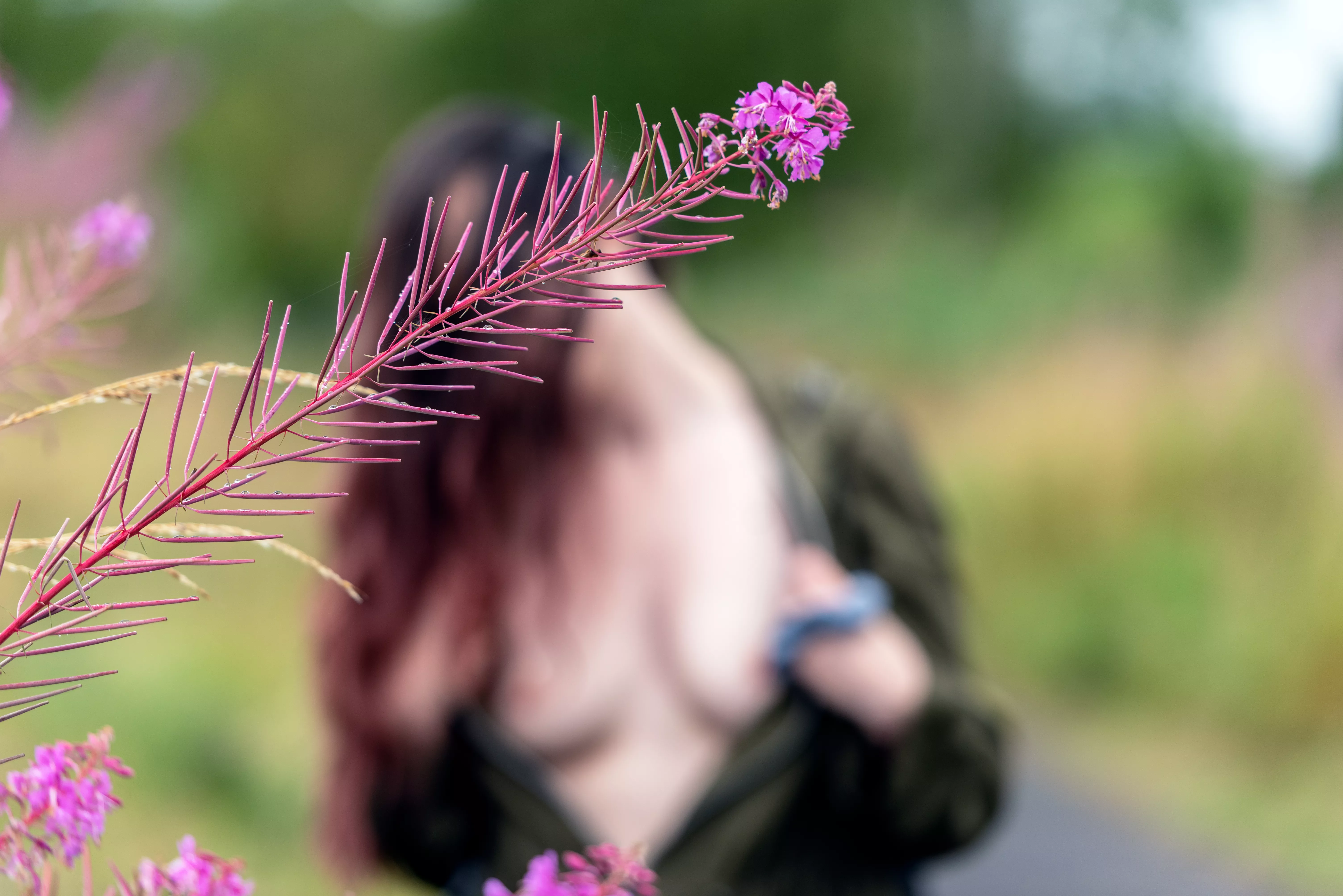 Such a beautiful set of flowers [f]