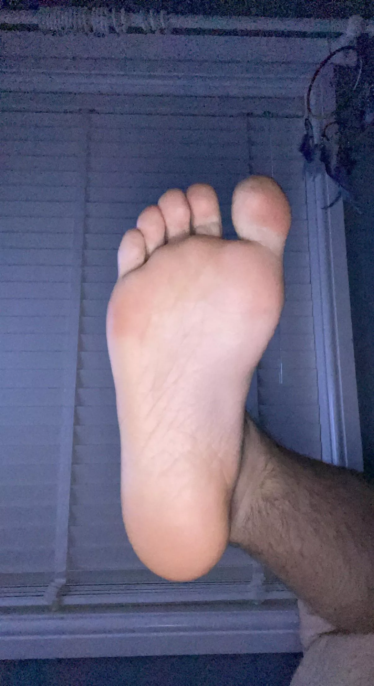 suck my toes