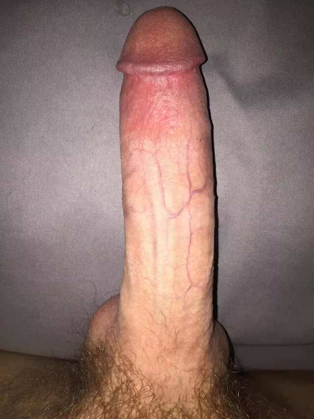 Suck or Fuck?