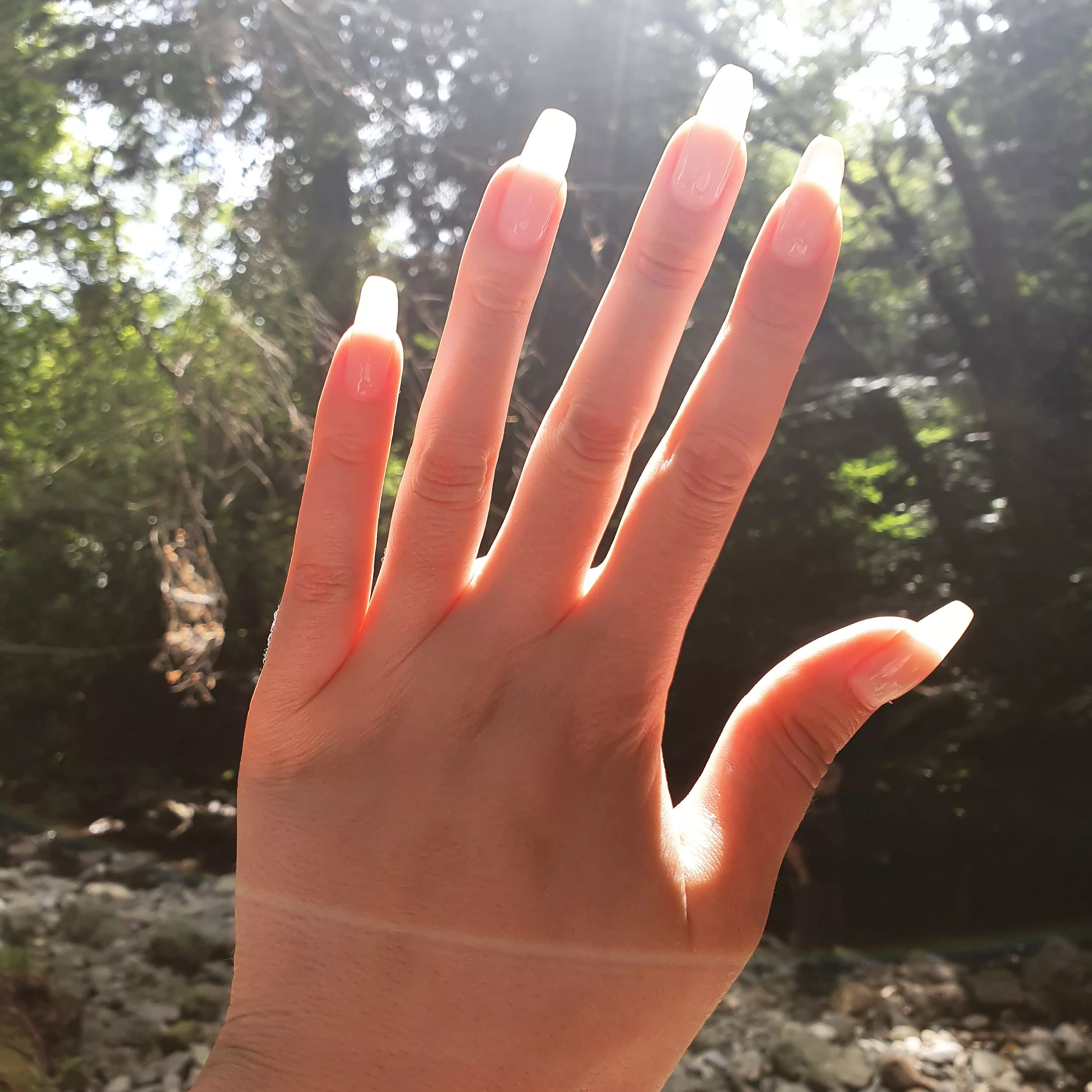 Sunlight shining through my long natural nails ðŸŒž