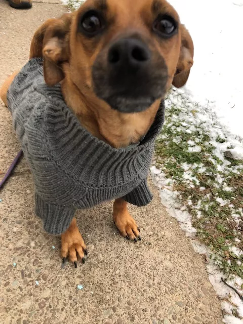 SWEATER BOI