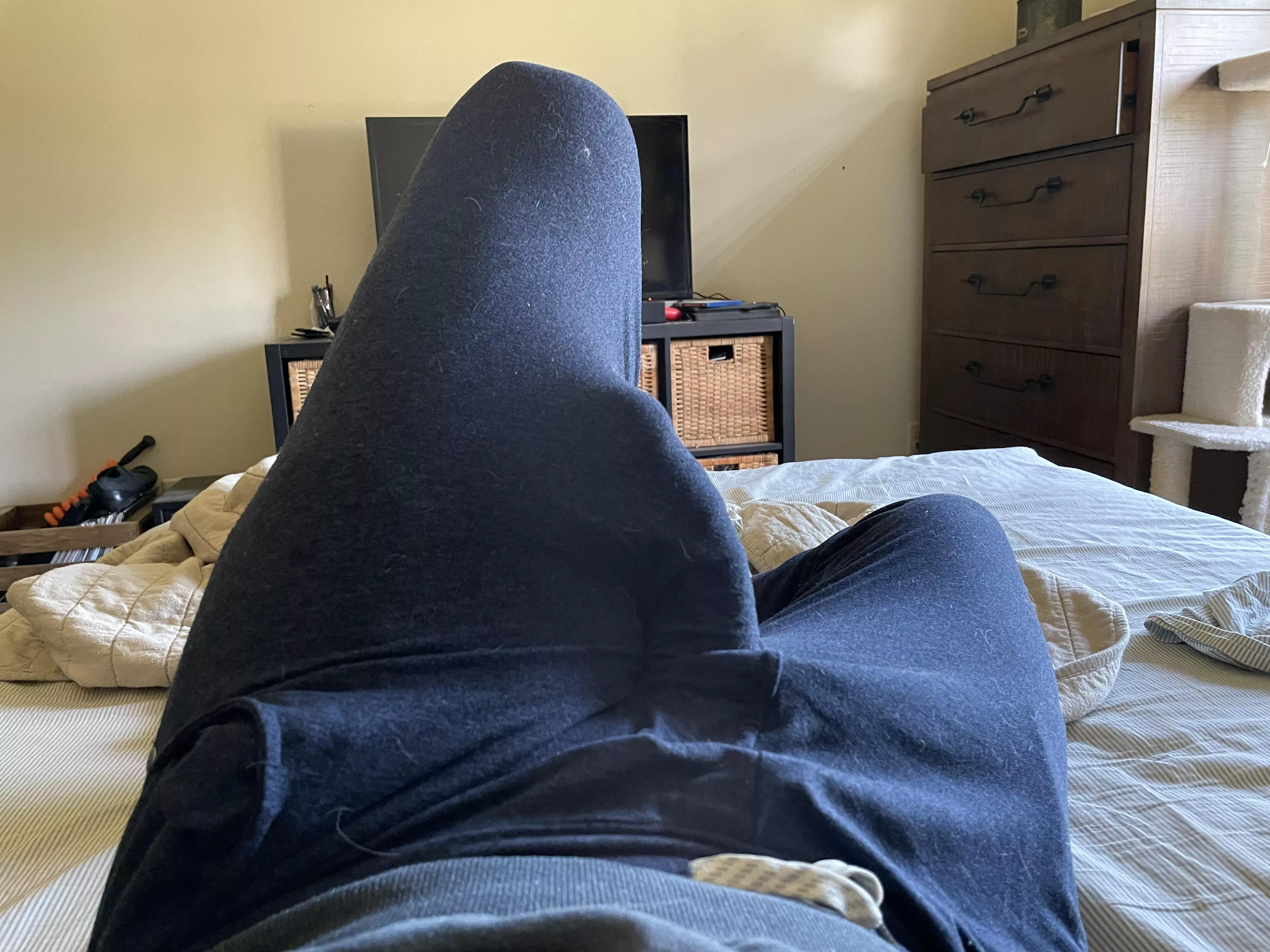 Sweatpants bulge