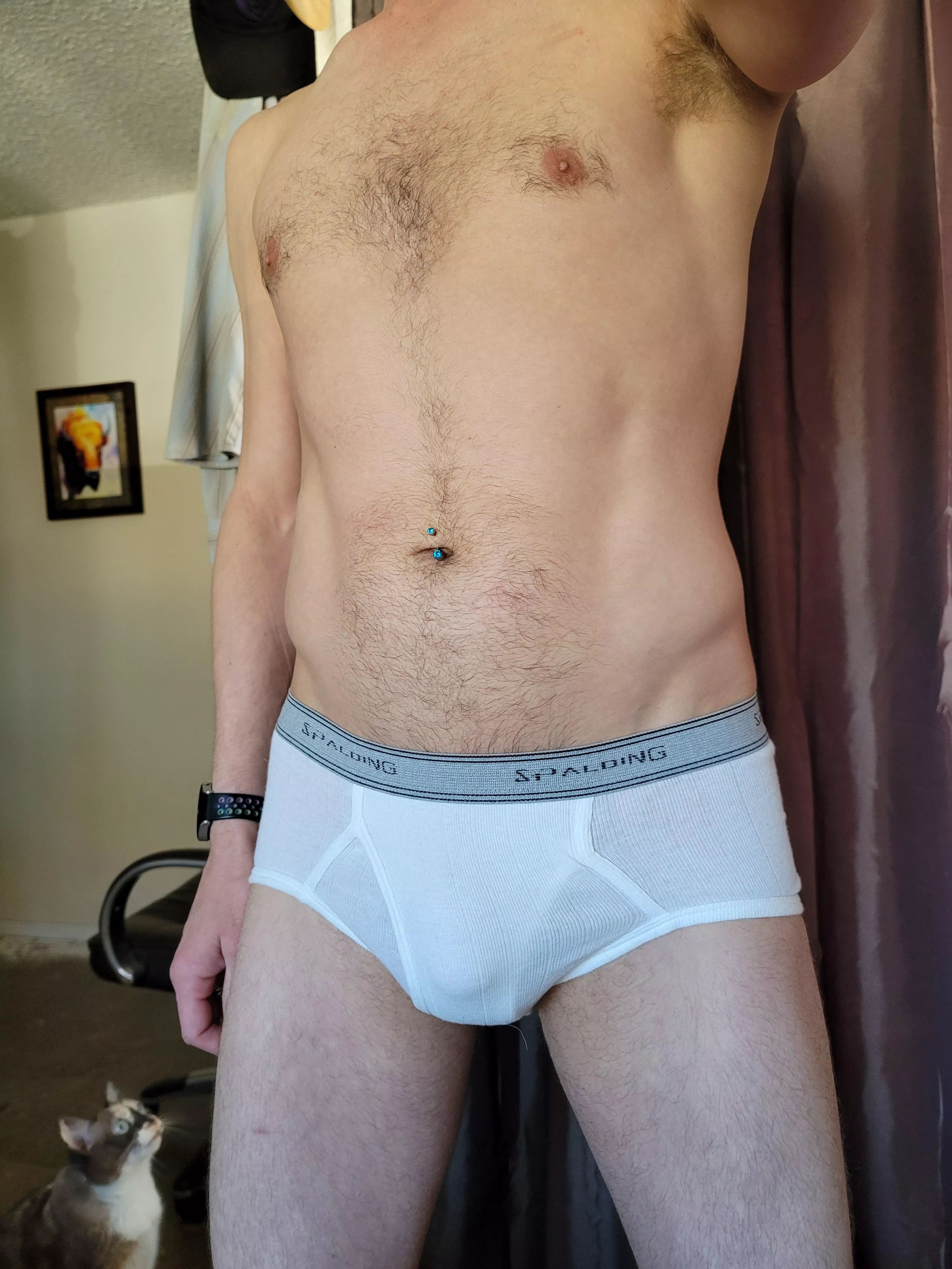 Taking pictures in my tight white briefs and getting judged by the cat.