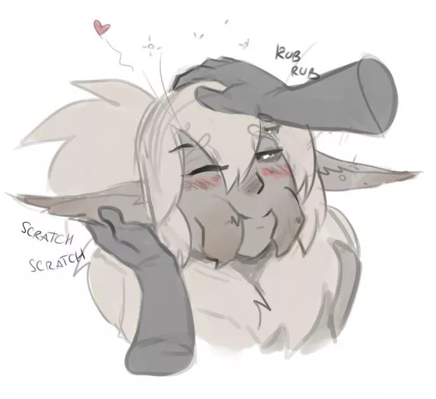 Tarantula gets headpats