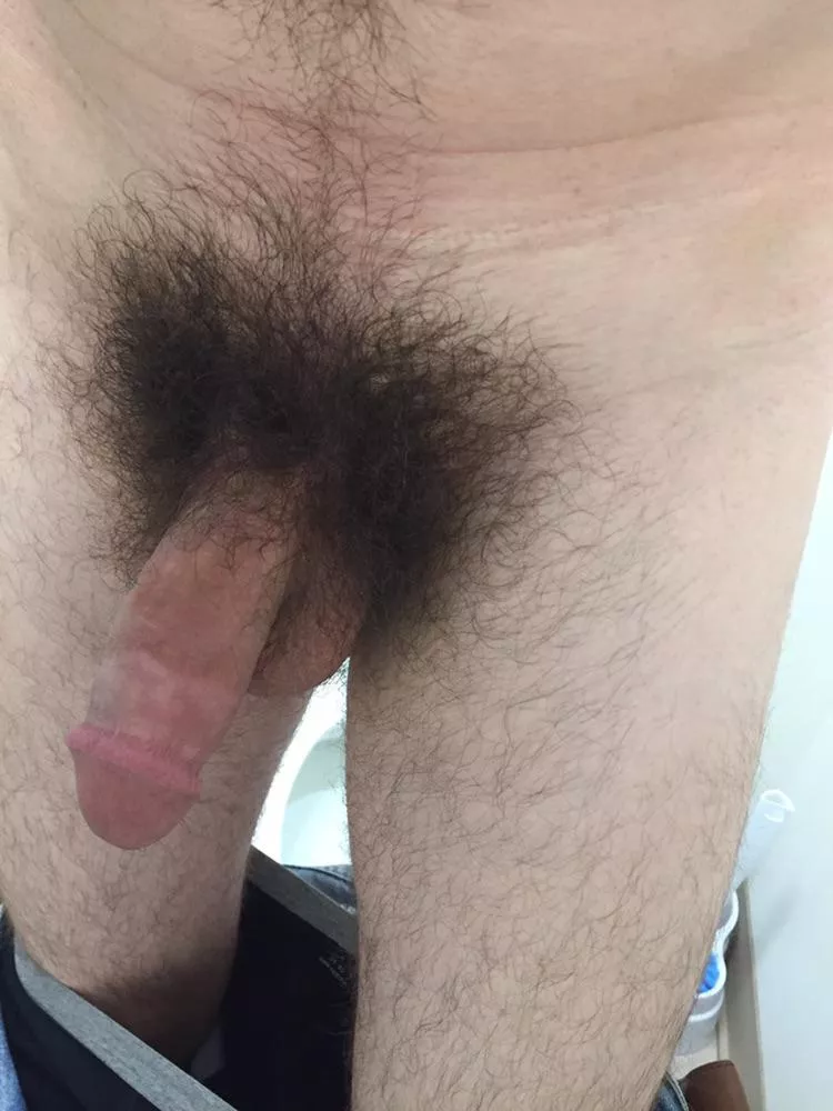 TGIF. Here’s my hairy cock 😉