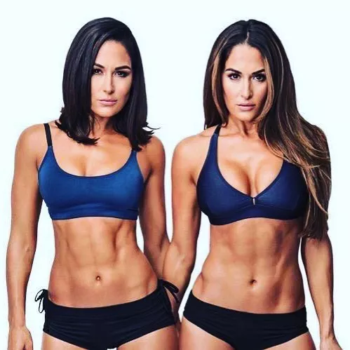 The Bella twins figure ðŸ¤¤