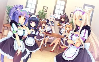 the best catgirls. prove me wrong ðŸ¥°ðŸ˜