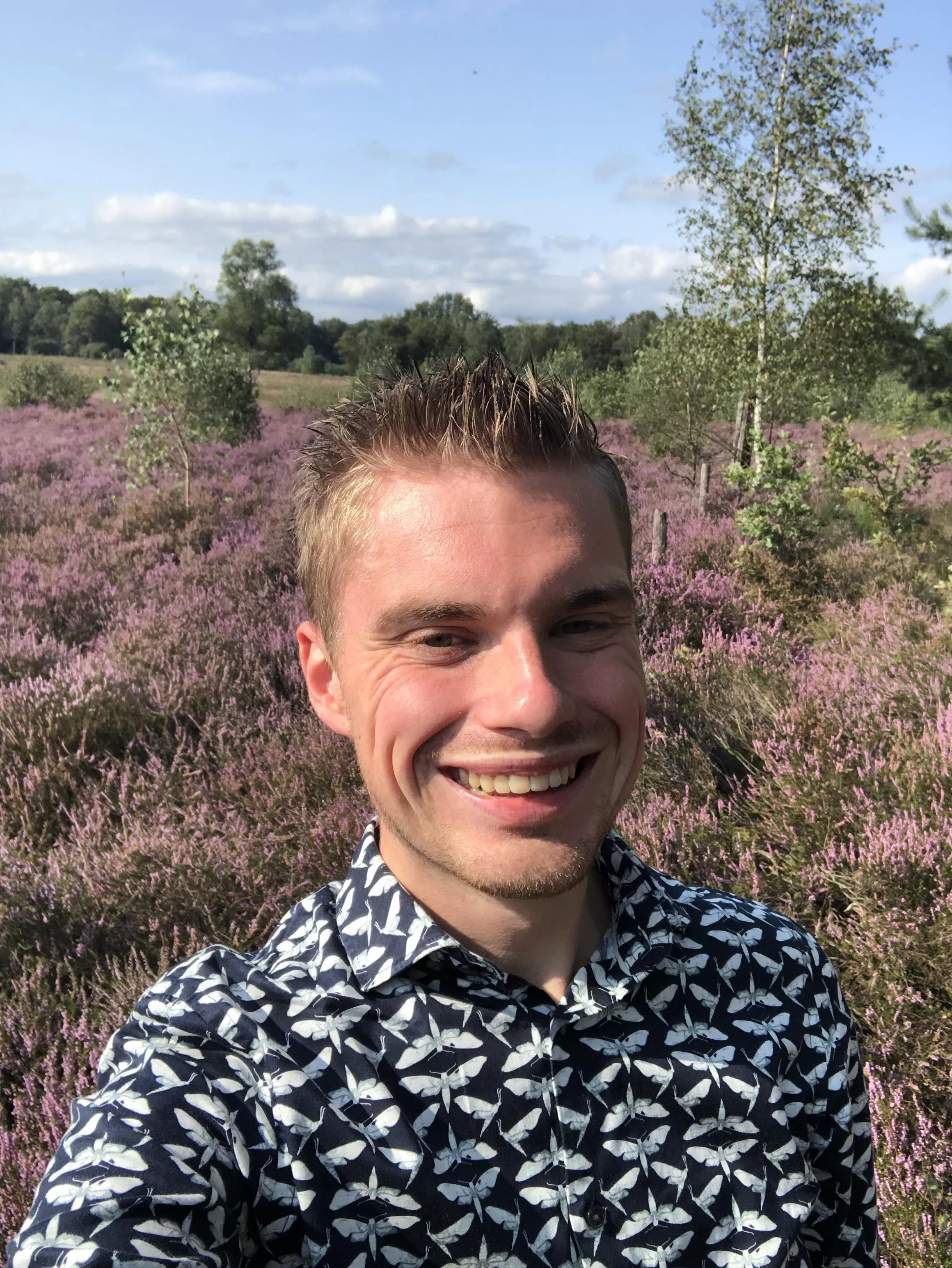 The heather fields are flowering and it is so gorgeous!