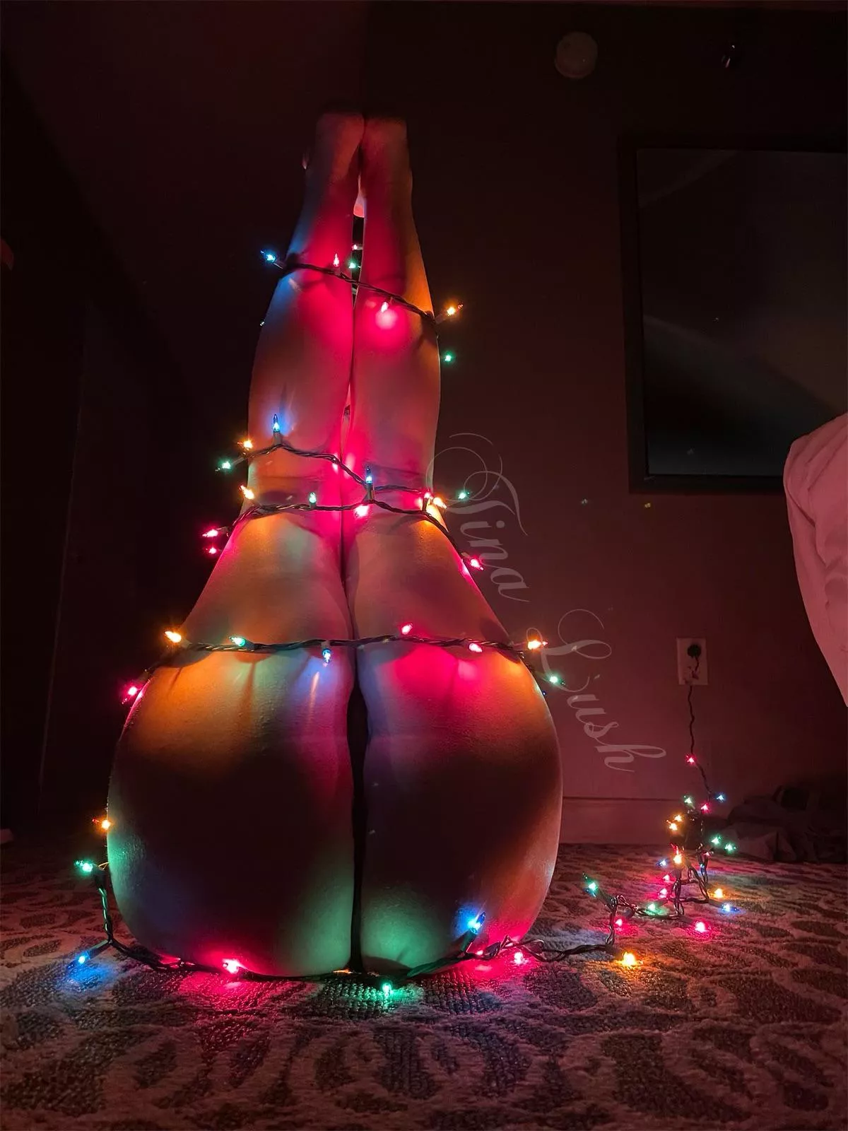 The perfect Christmas tree 🎄 [image]