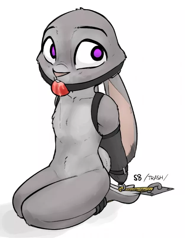 There's something extra adorable to me about bunny sized bondage gear (Alec8ter)