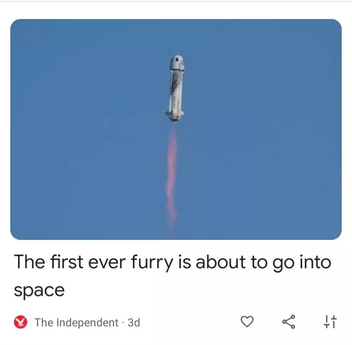 Think it's funny that there acting as if it's not a person going to space but some guy in a fursuit