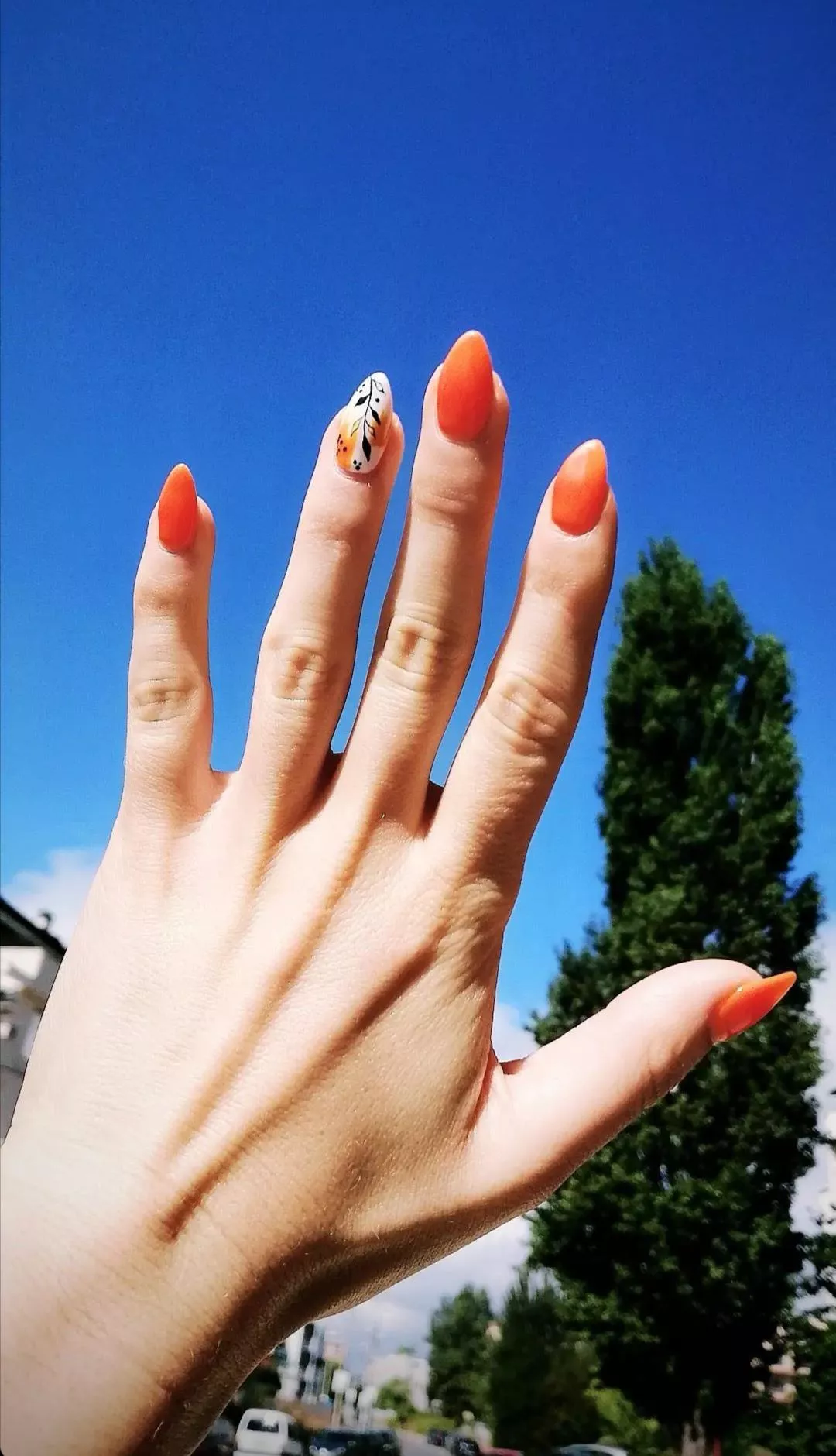 This girl sent me a pic of her nails ðŸ¤¤