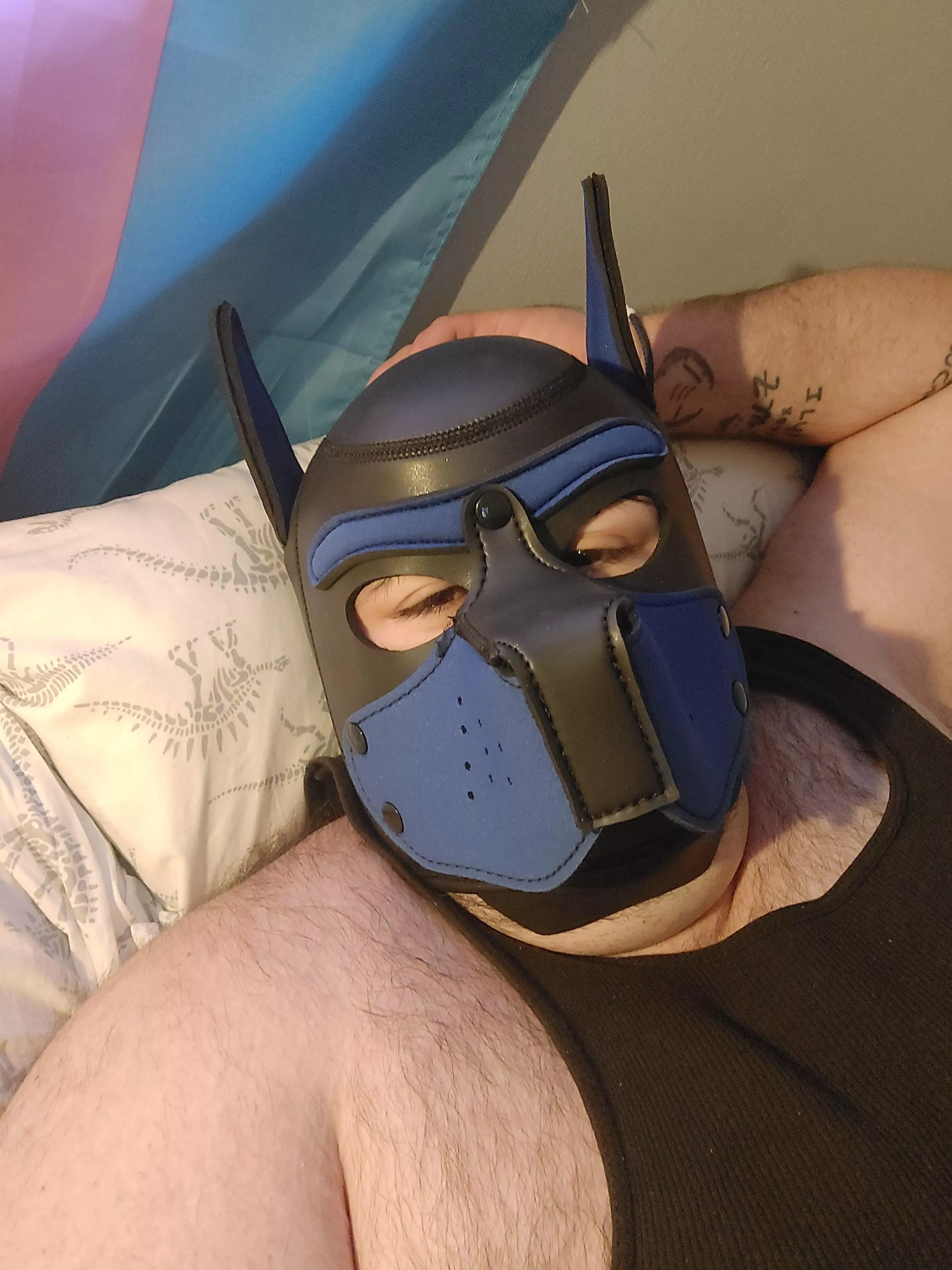 This sleepy pup can't seem to get out of bed