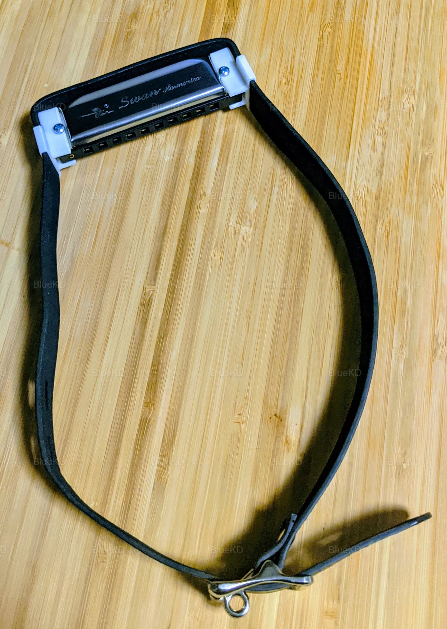 Thought you guys might appreciate this, I made a harmonica gag!