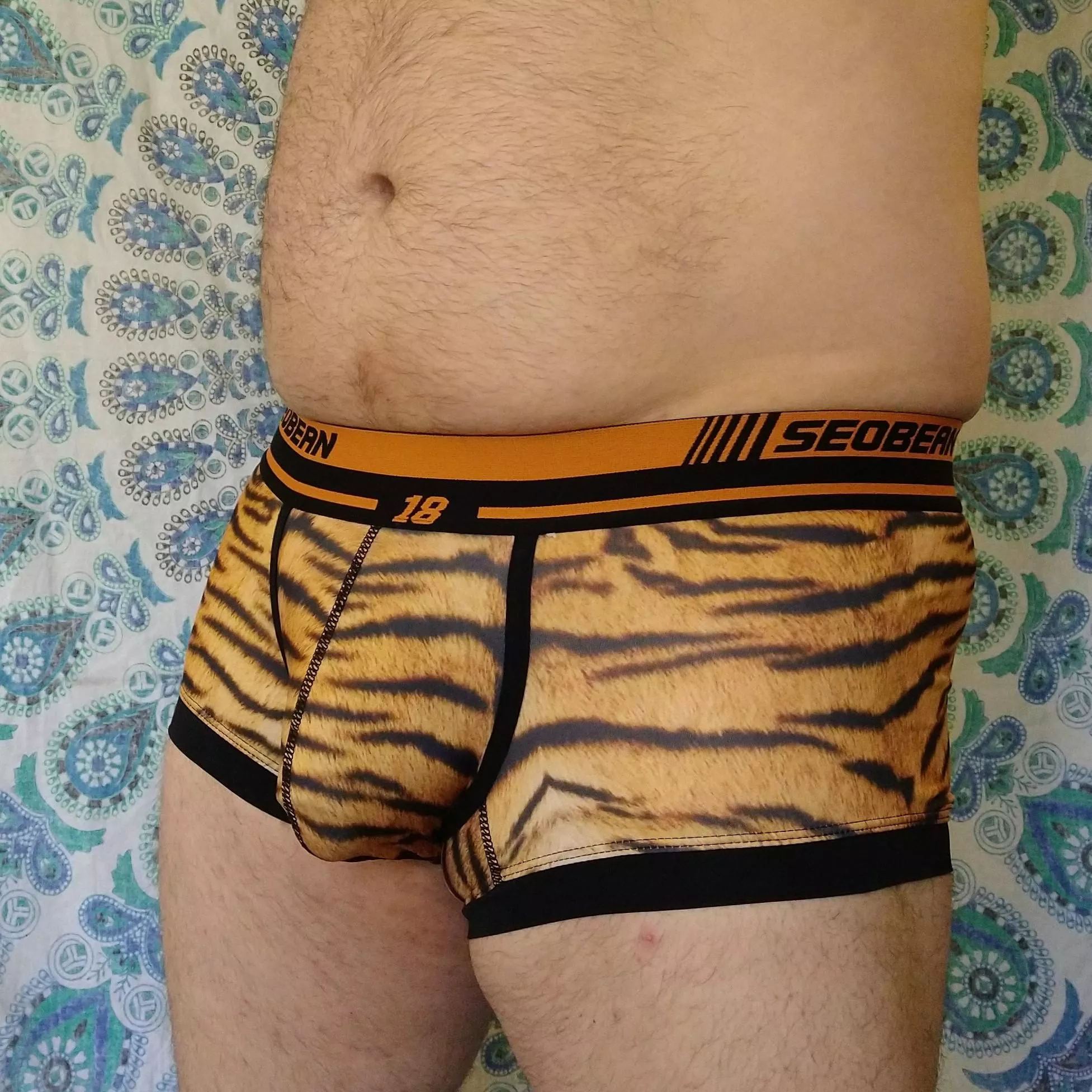 Tiger dadbod bulge, want to pet it?