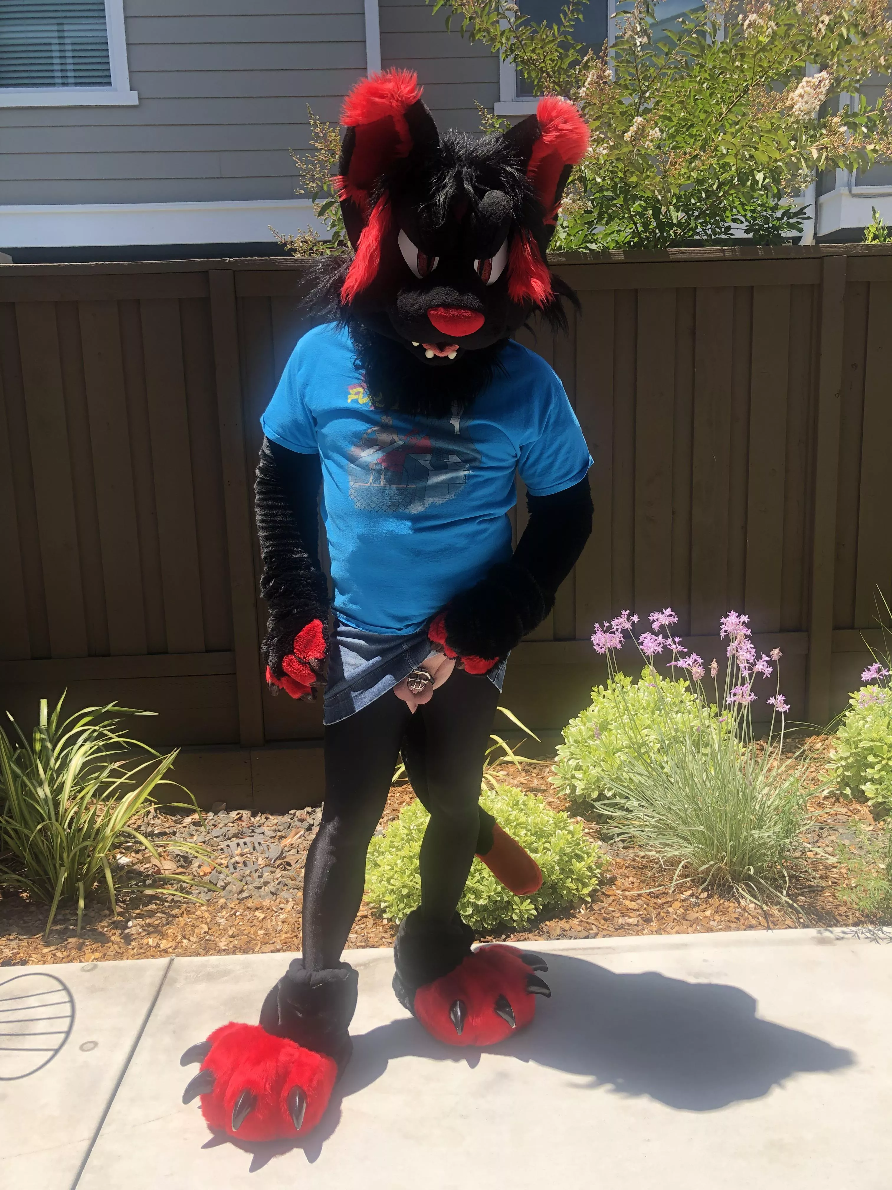 Took some pics for [m]y fursuit's 5th birthday; had to sneak some lewds in too.