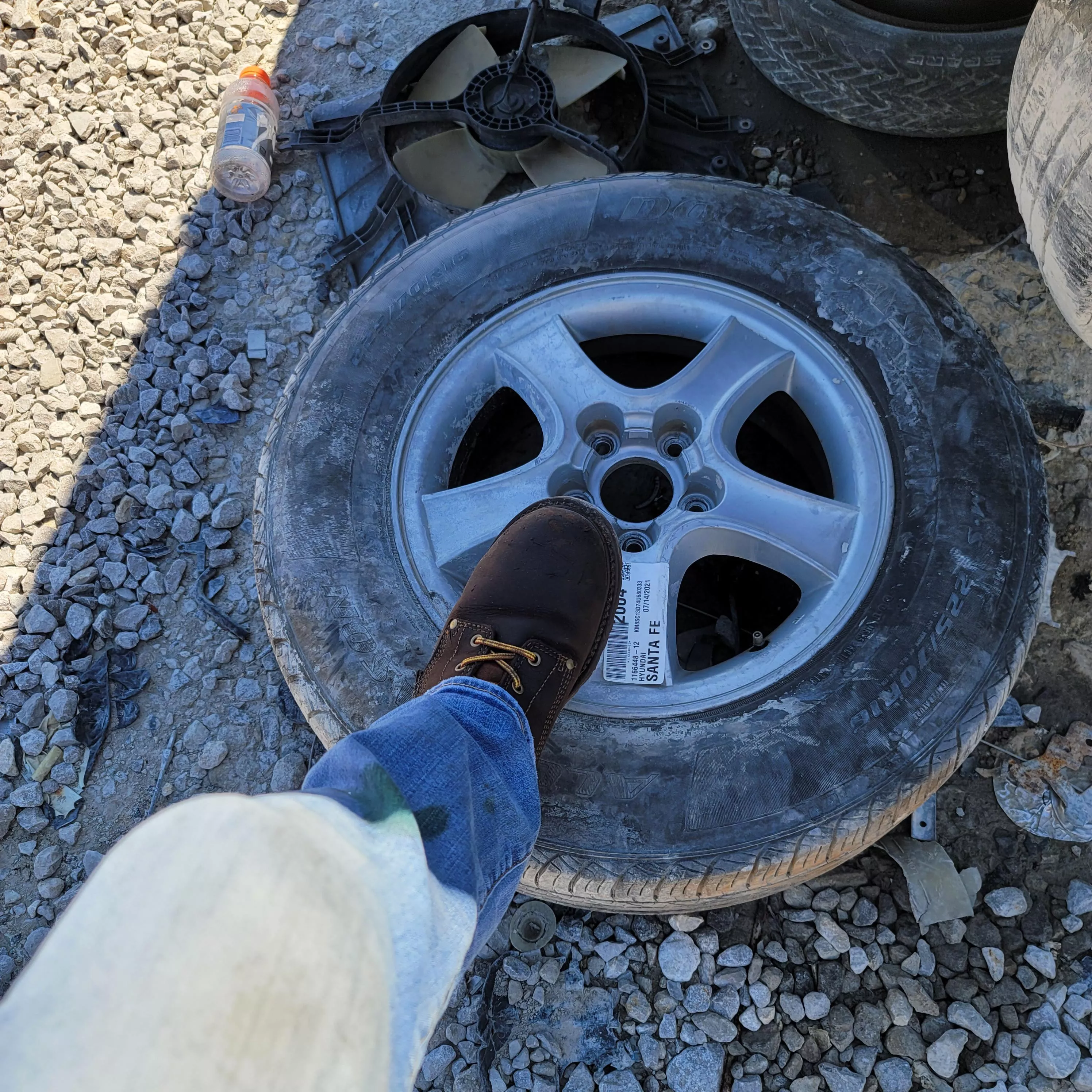 Took the Carolinas to the junk yard yesterday