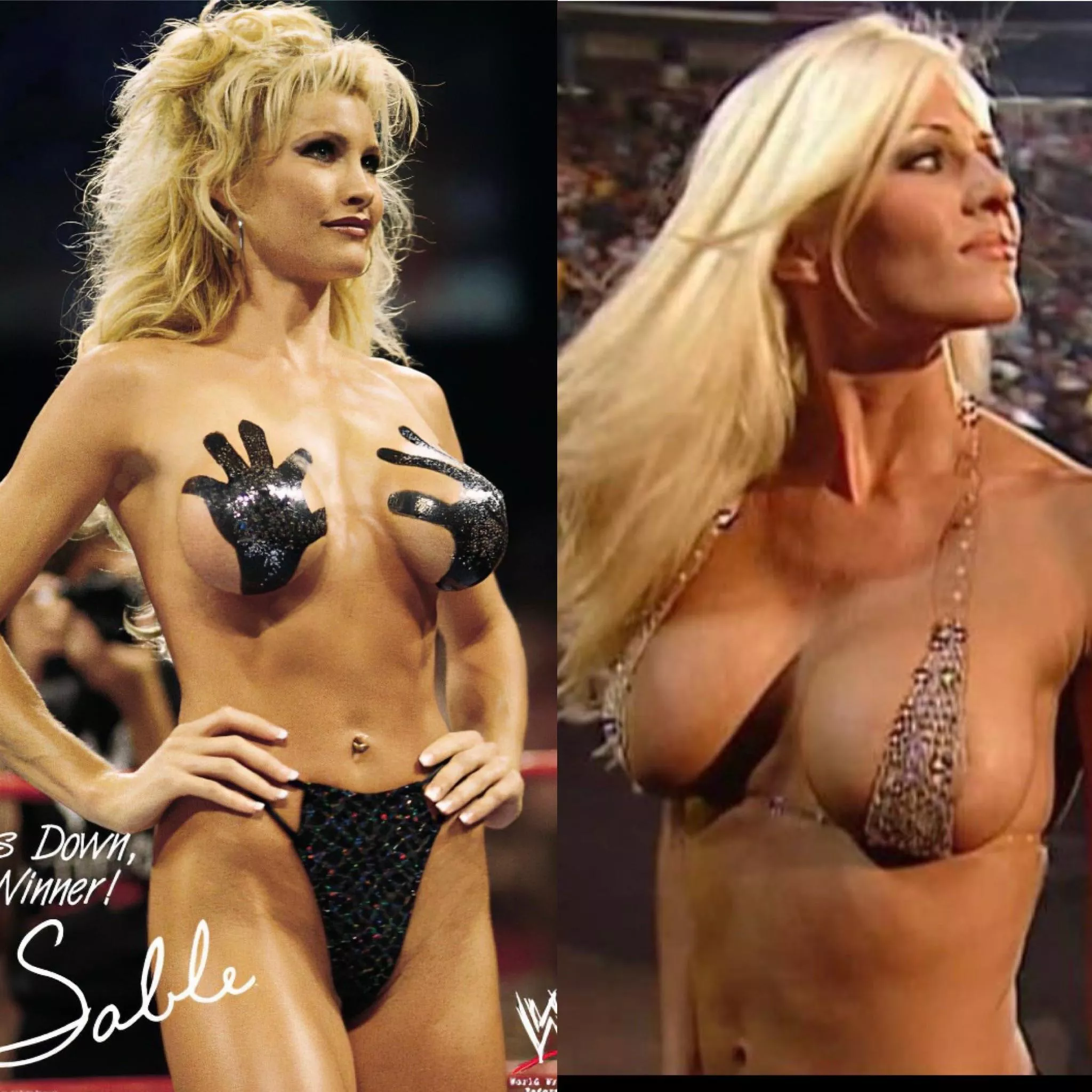 Torrie vs Sable top shelf was an all time debate