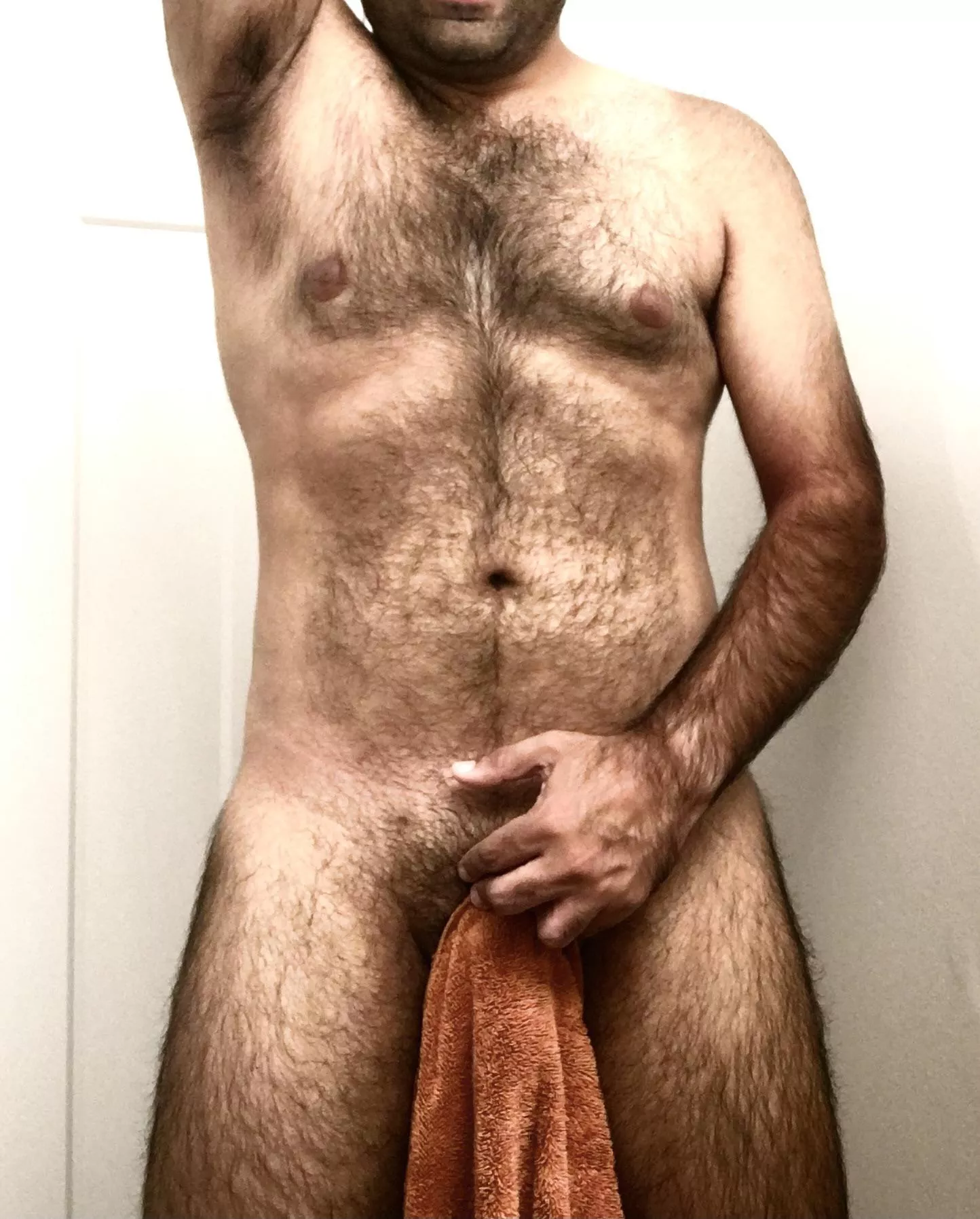 Towel Tuesday, anyone?