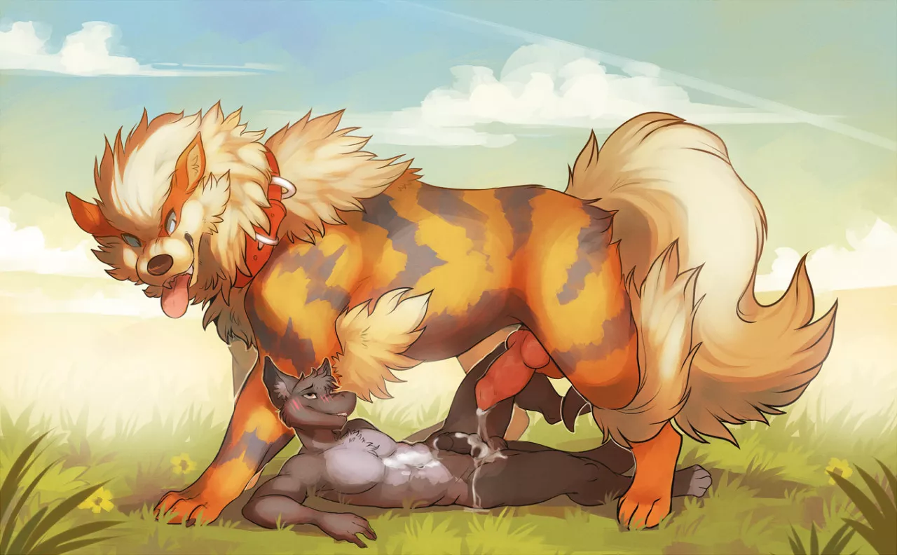 Training With Arcanine [MM] (Hoot)