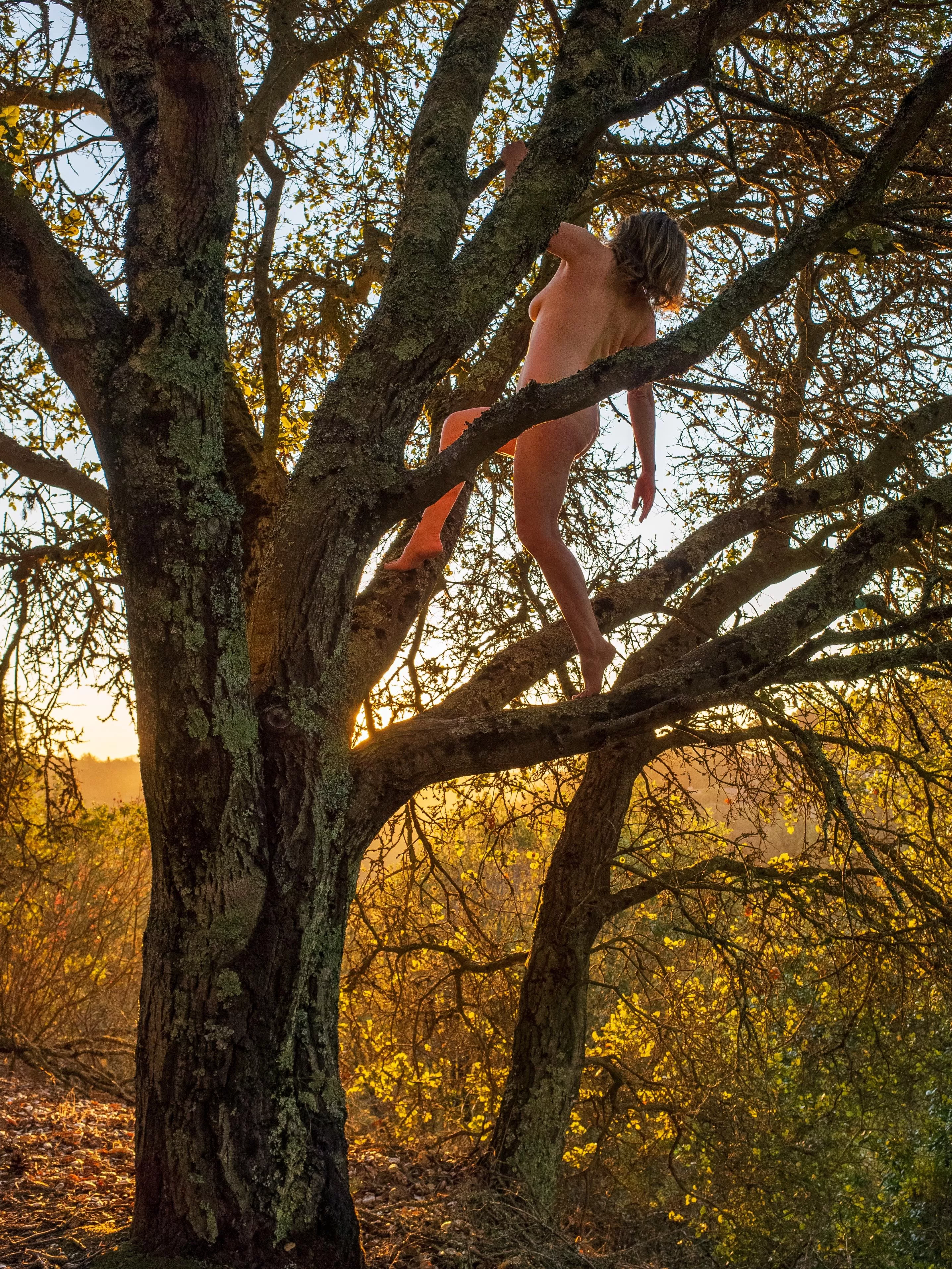 ðŸŒ³Tree Pose TuesdayðŸŒ³