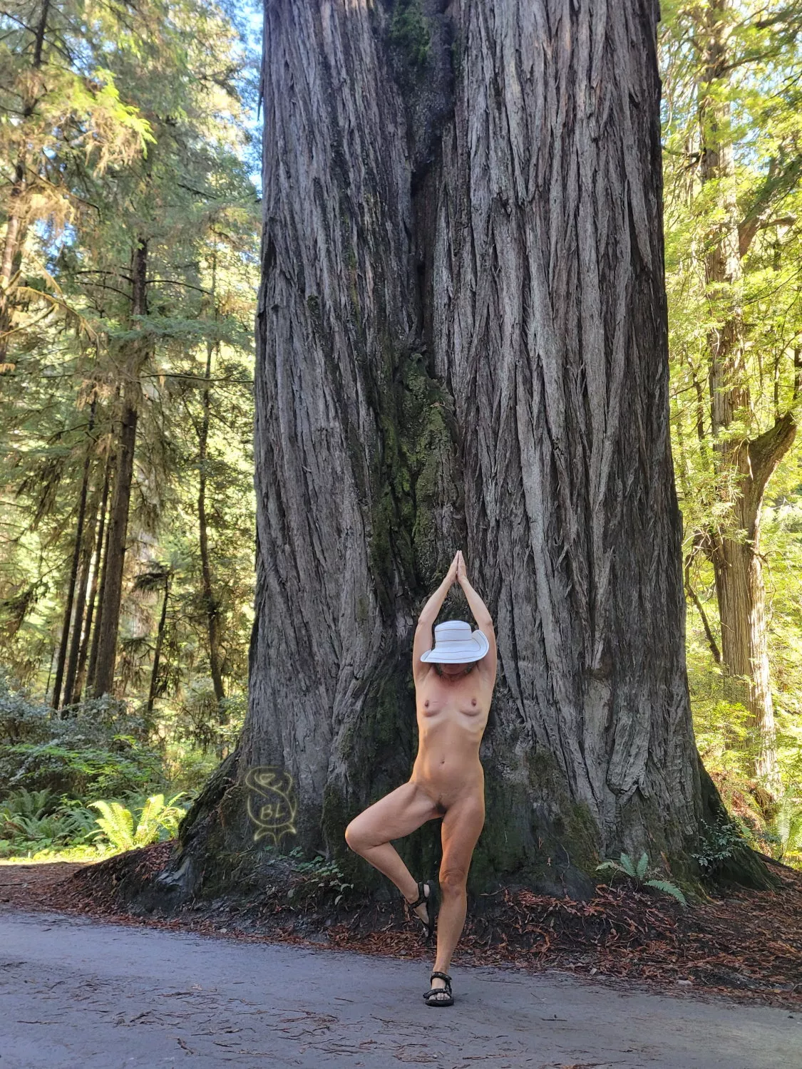 Tree Pose Tuesday