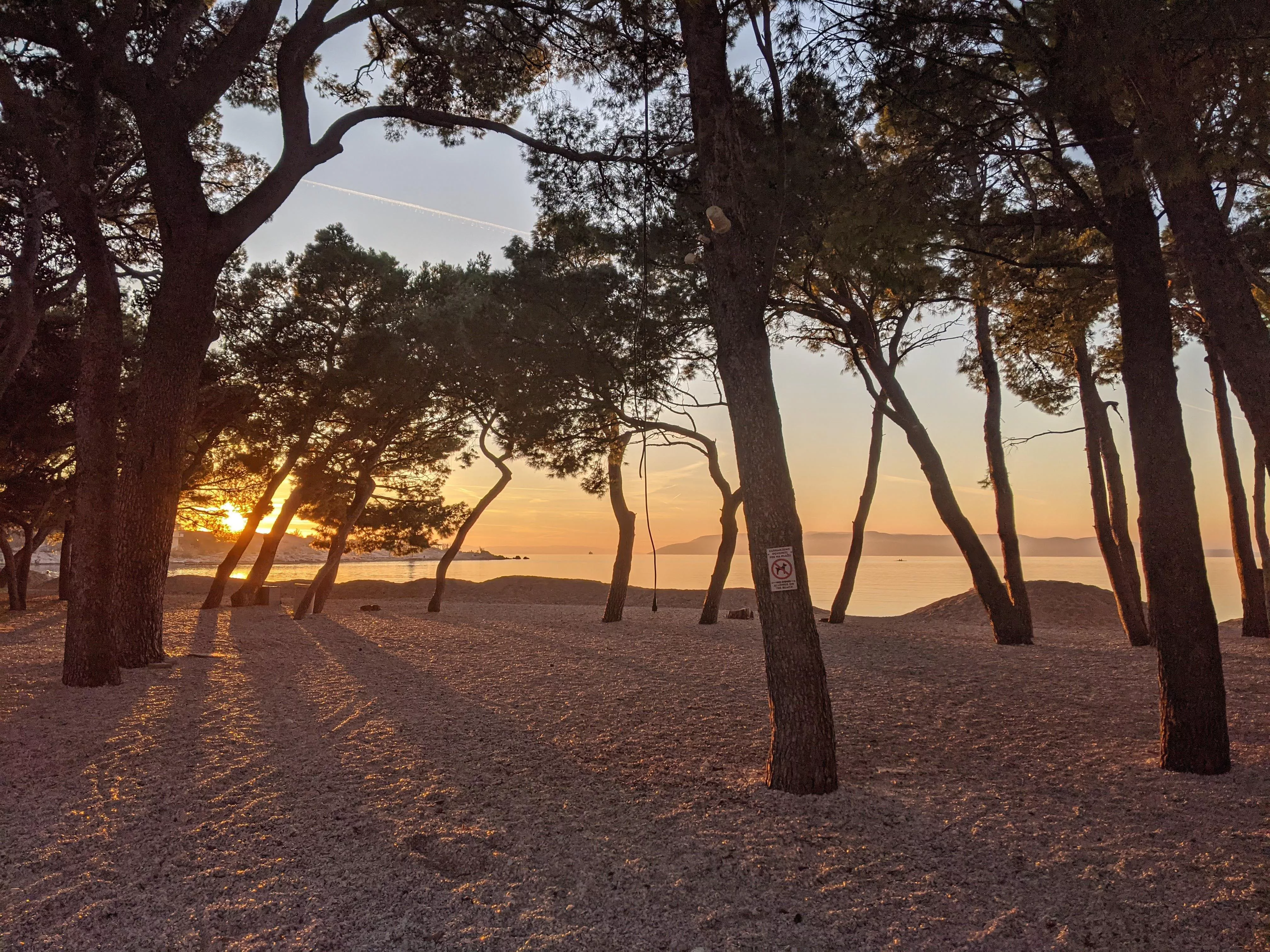 Tree silhouettes in Croatia