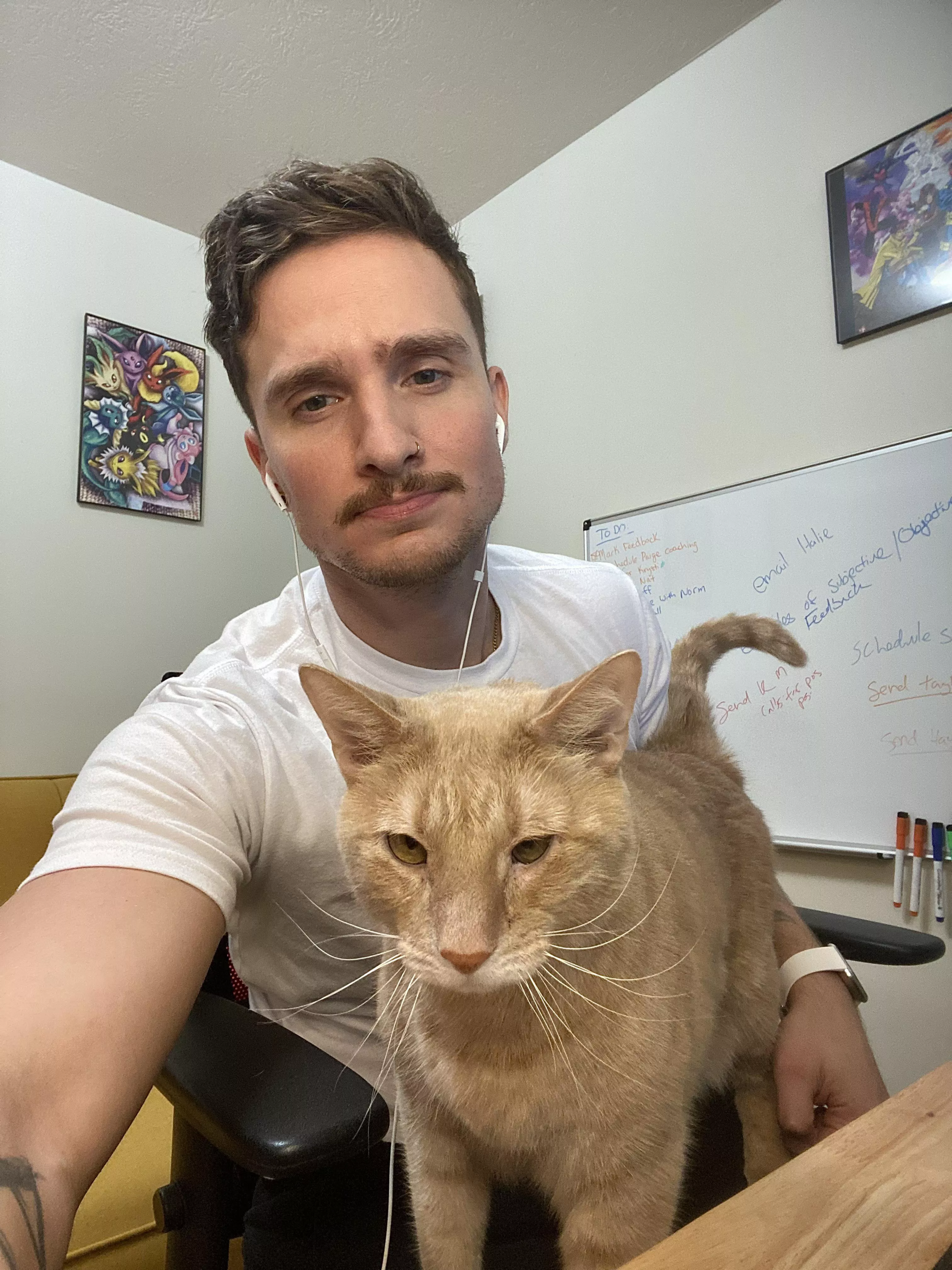 Try to match expressions with my co-worker. Anyone else have furry colleagues?