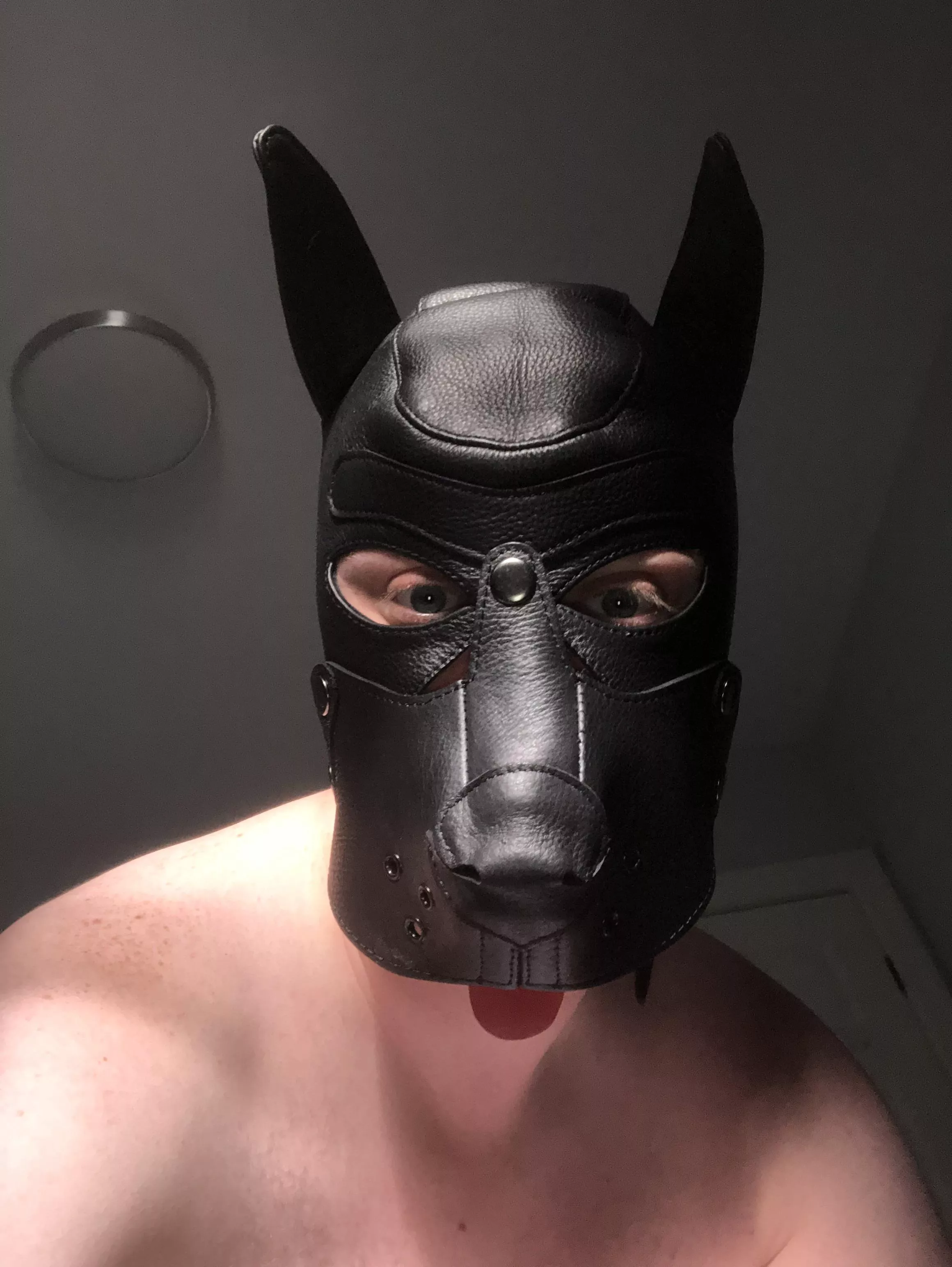 Trying on my new pup hood (33)