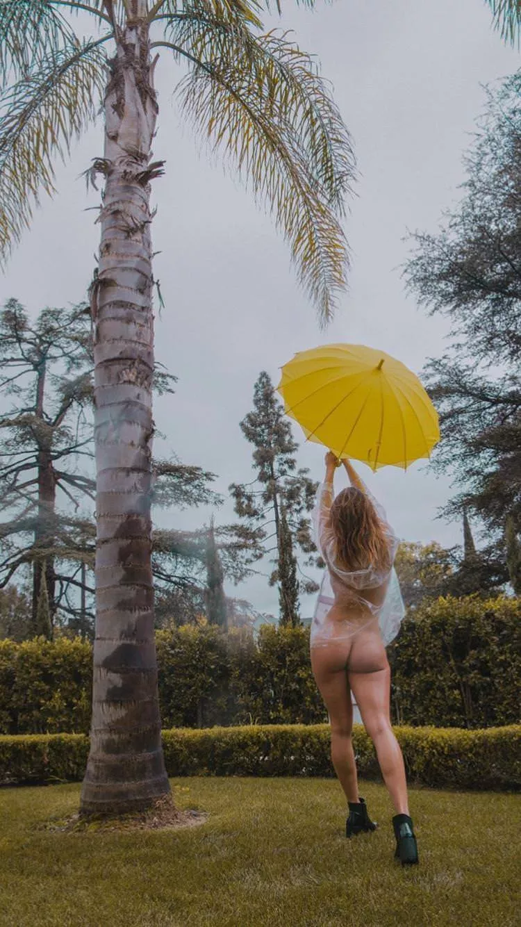 Umbrella