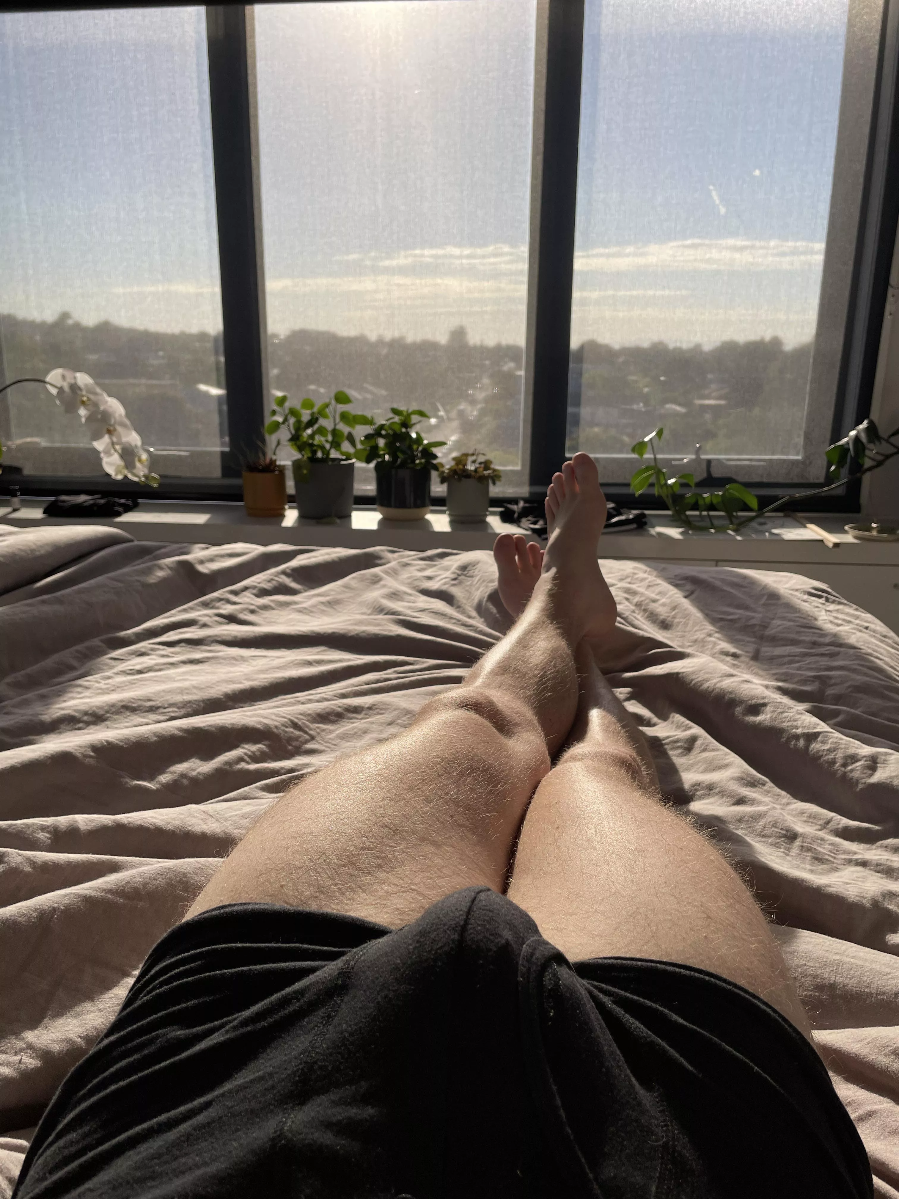 Underwear in the morning sunshine