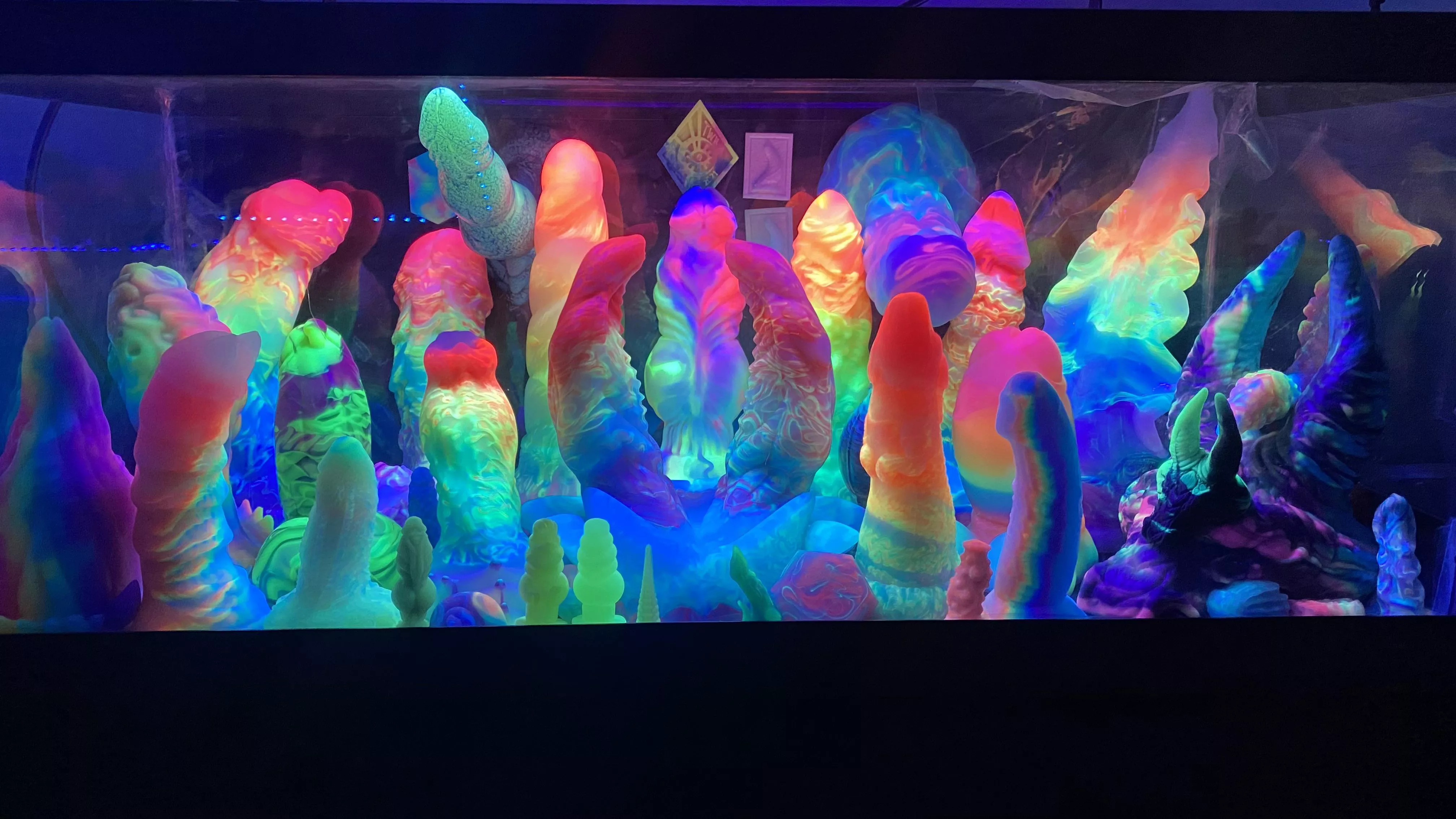 Updated Dick Tank pic with new Auroras!