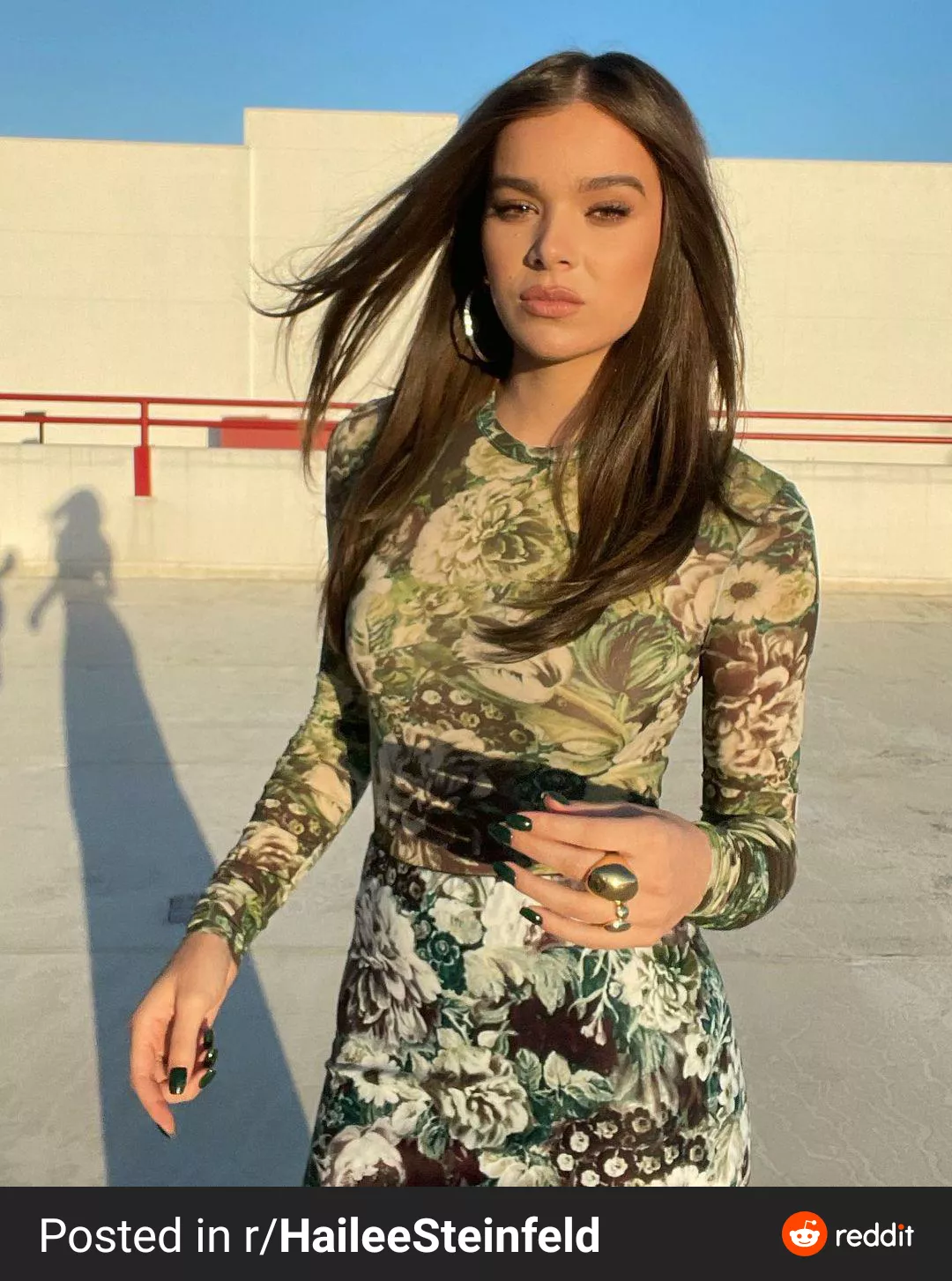 Use me for Goddess Hailee Steinfeld