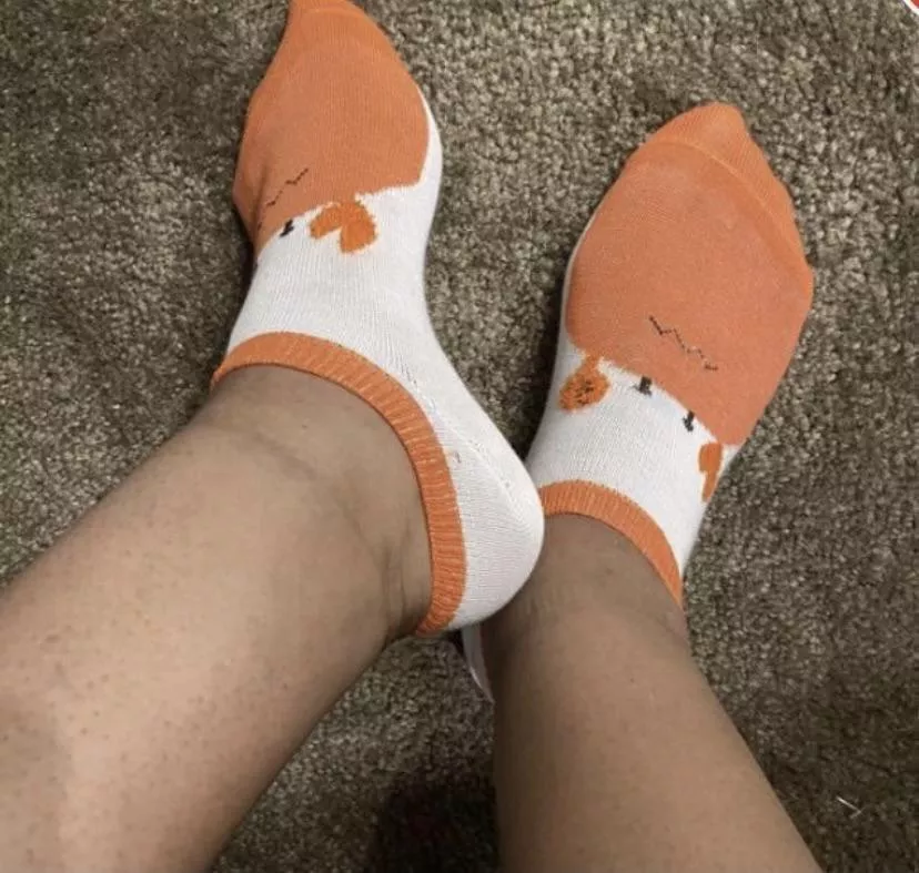 used stinky socks, US shipping only, I have plenty other styles and colors in my sock drawer, just ask. Kik leahboucher