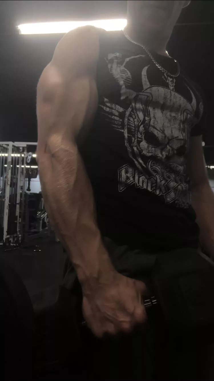 Vascularity is coming in