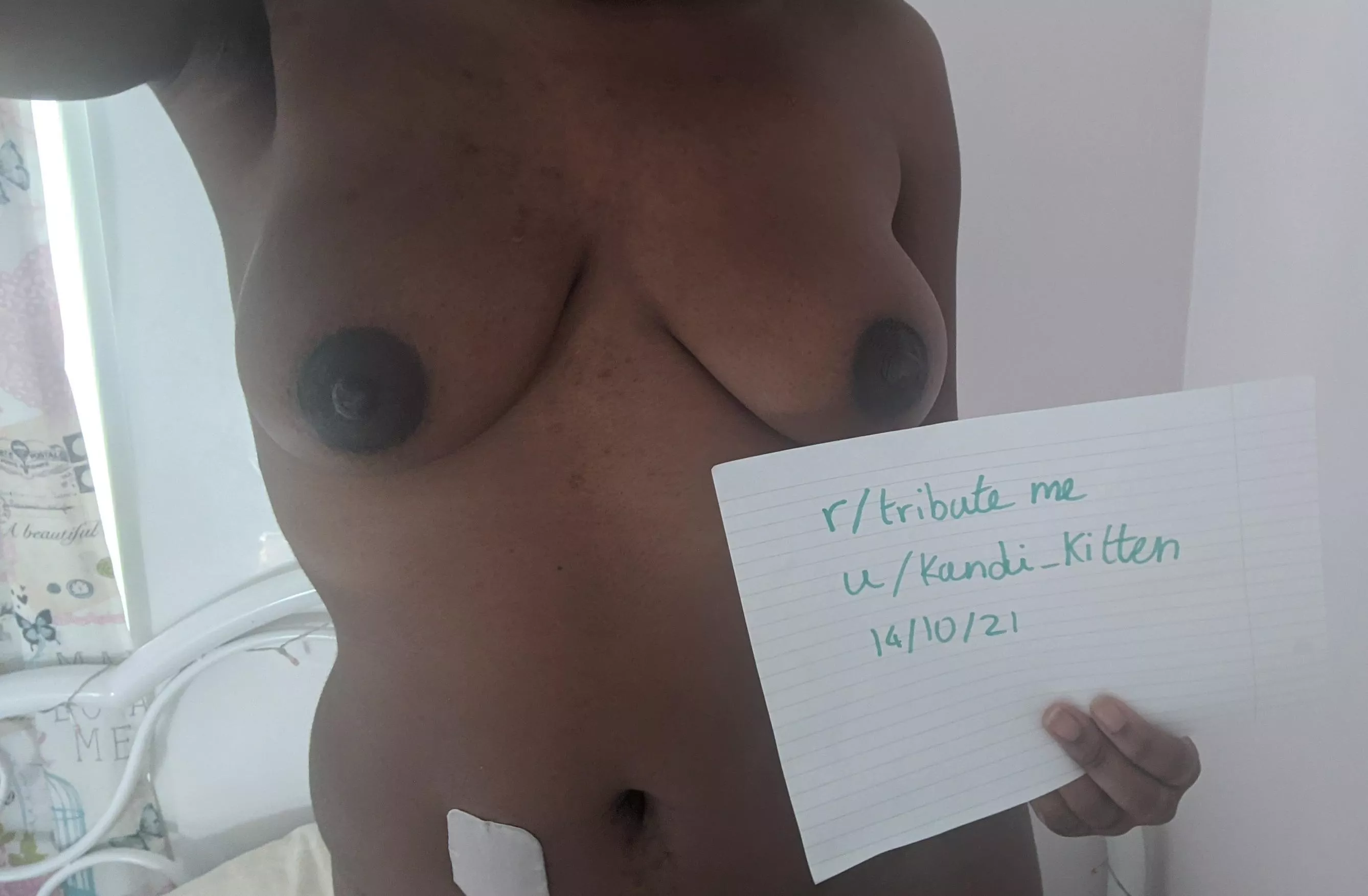 [Verification]