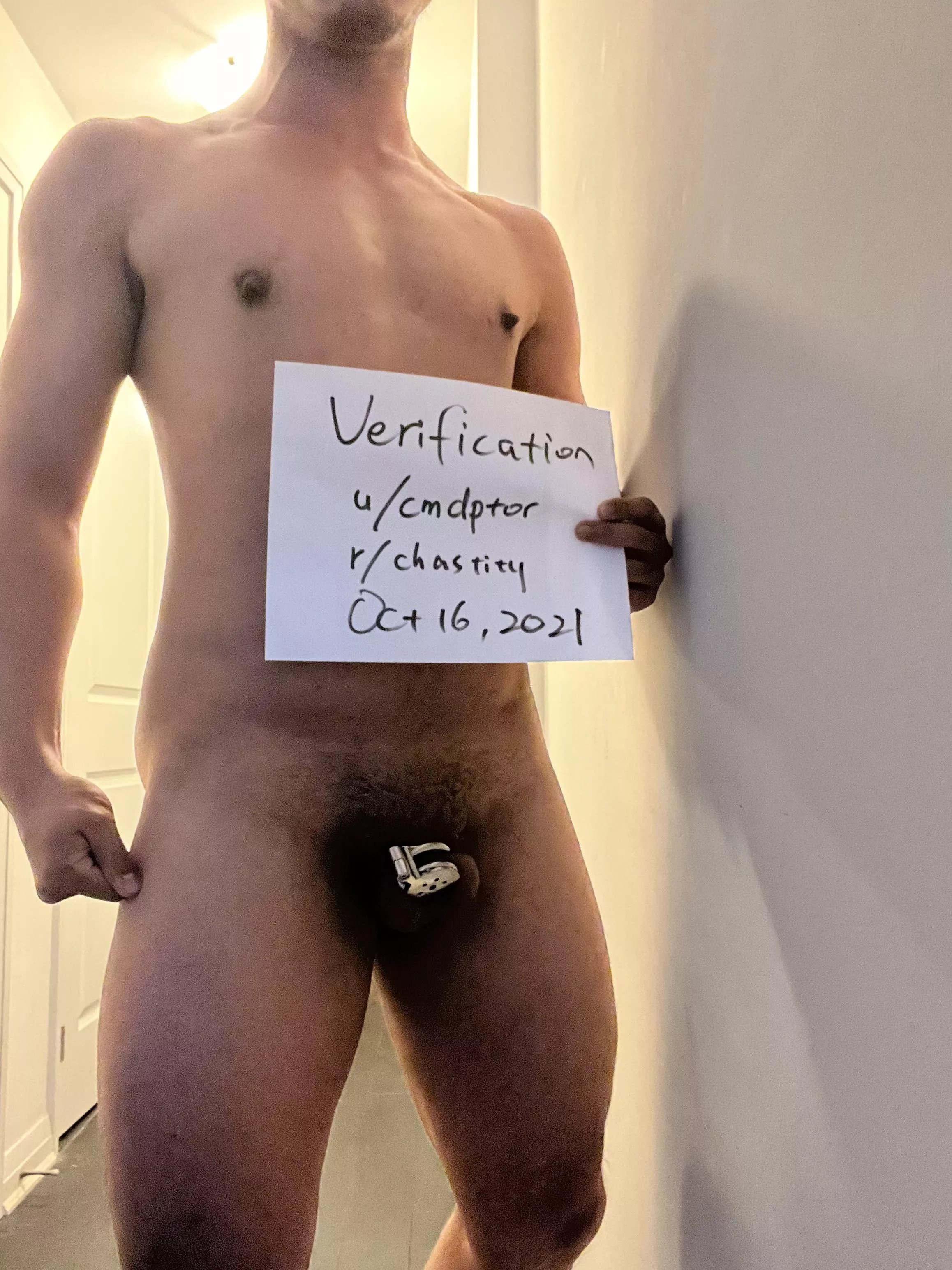 Verification