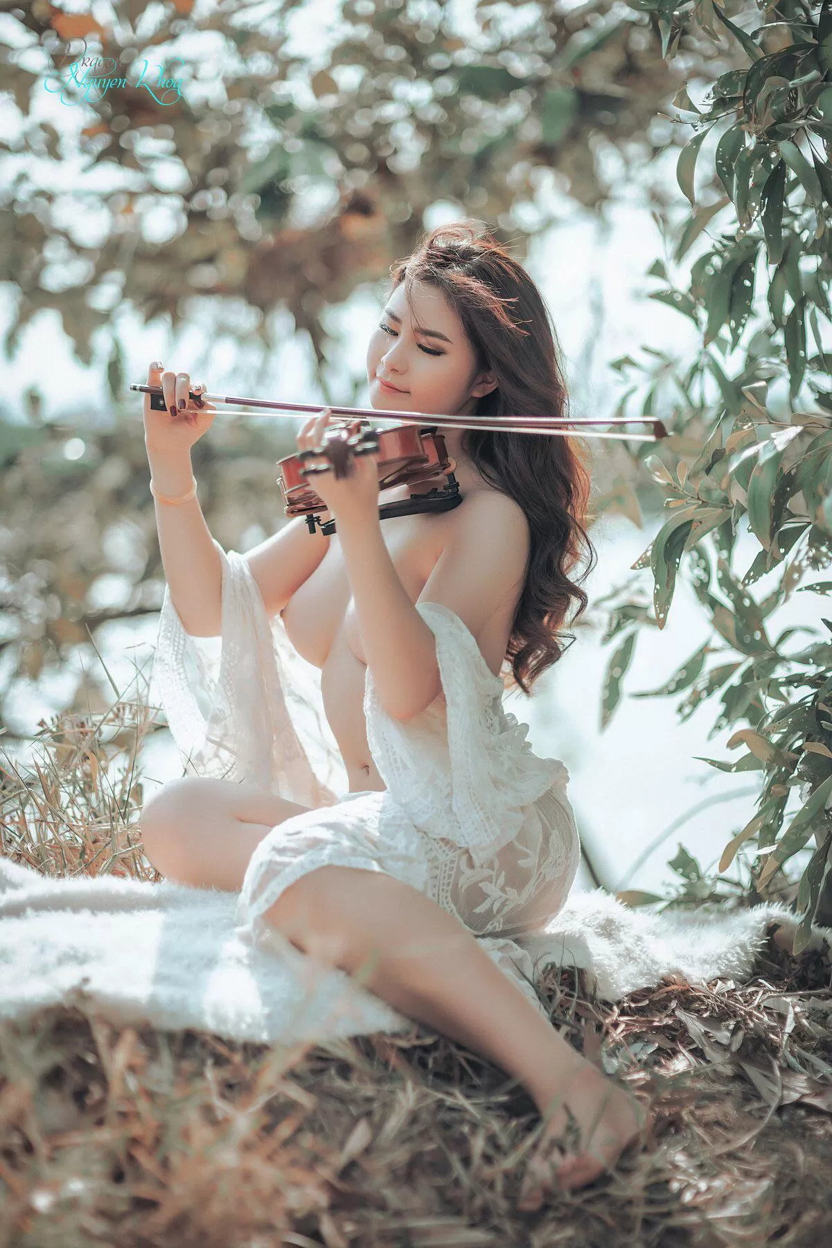 Violin, Khoa Dragon Nguyen (Photographer)