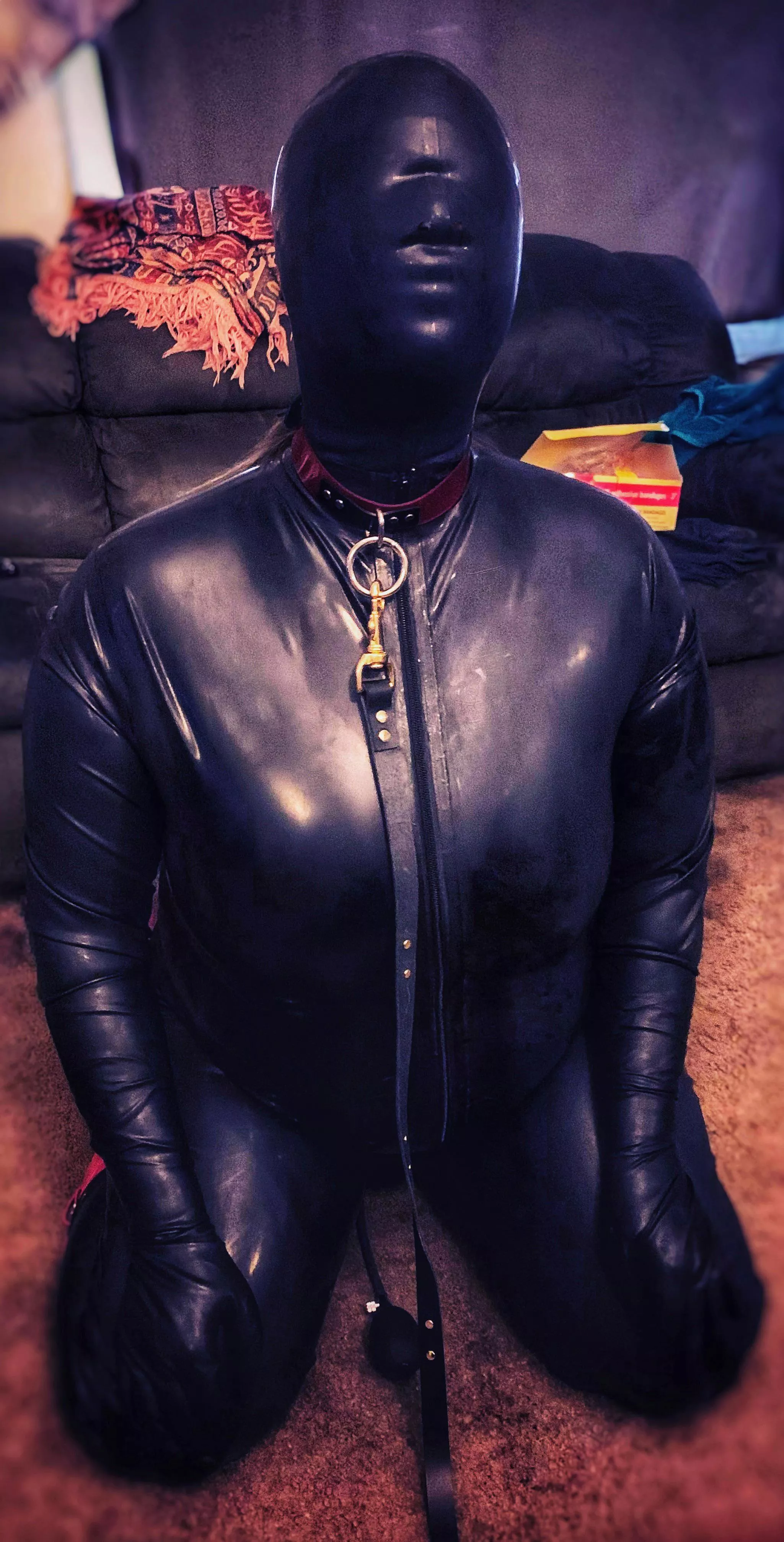 Waiting for you to take my leash