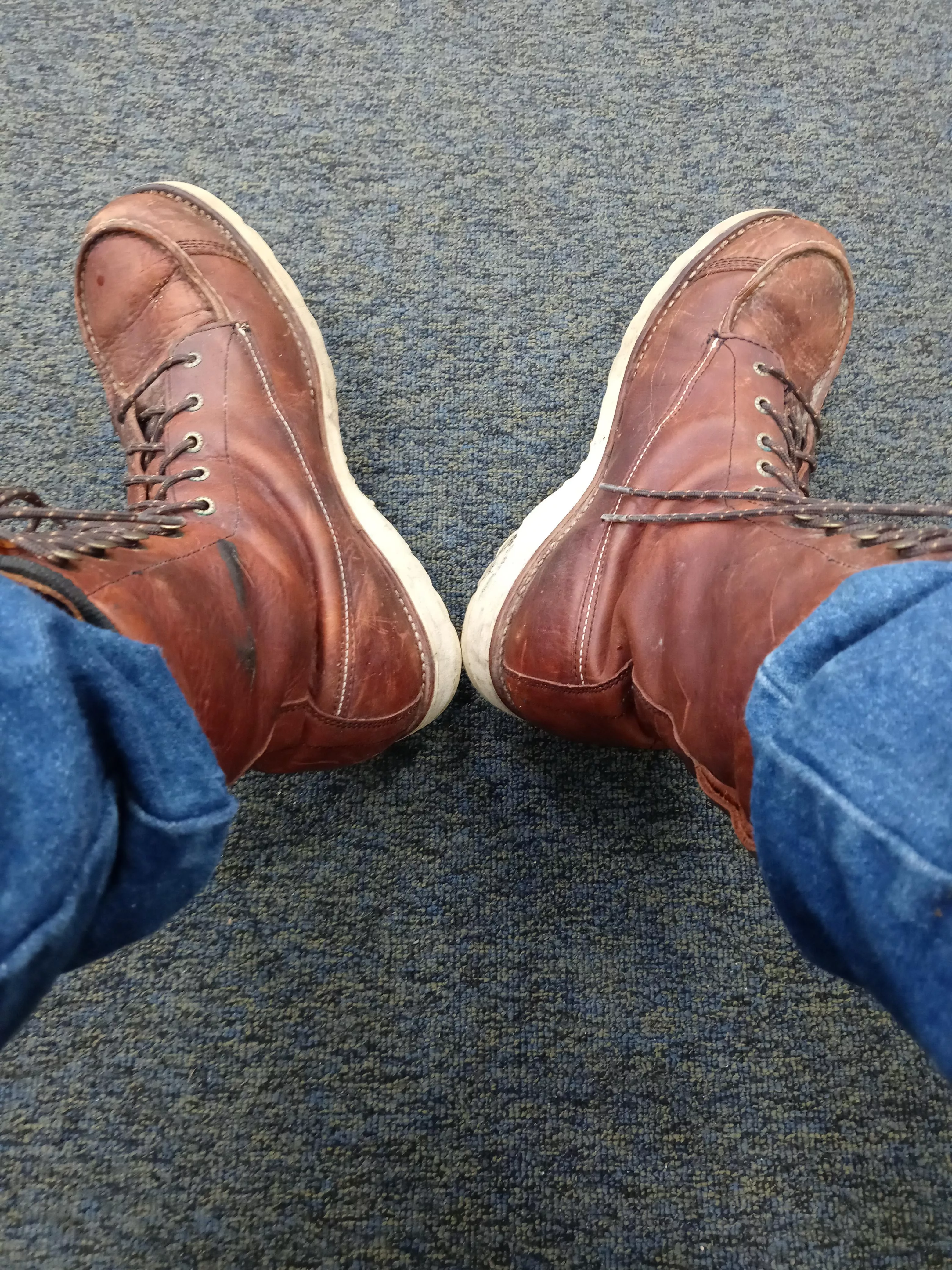 Waiting my turn at a Maine dept of motor vehicles office. Got my Irish setters on today. I don't think they make this color anymore.