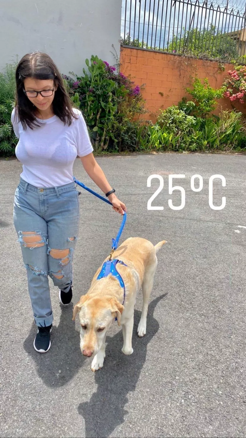 Walking the dog!