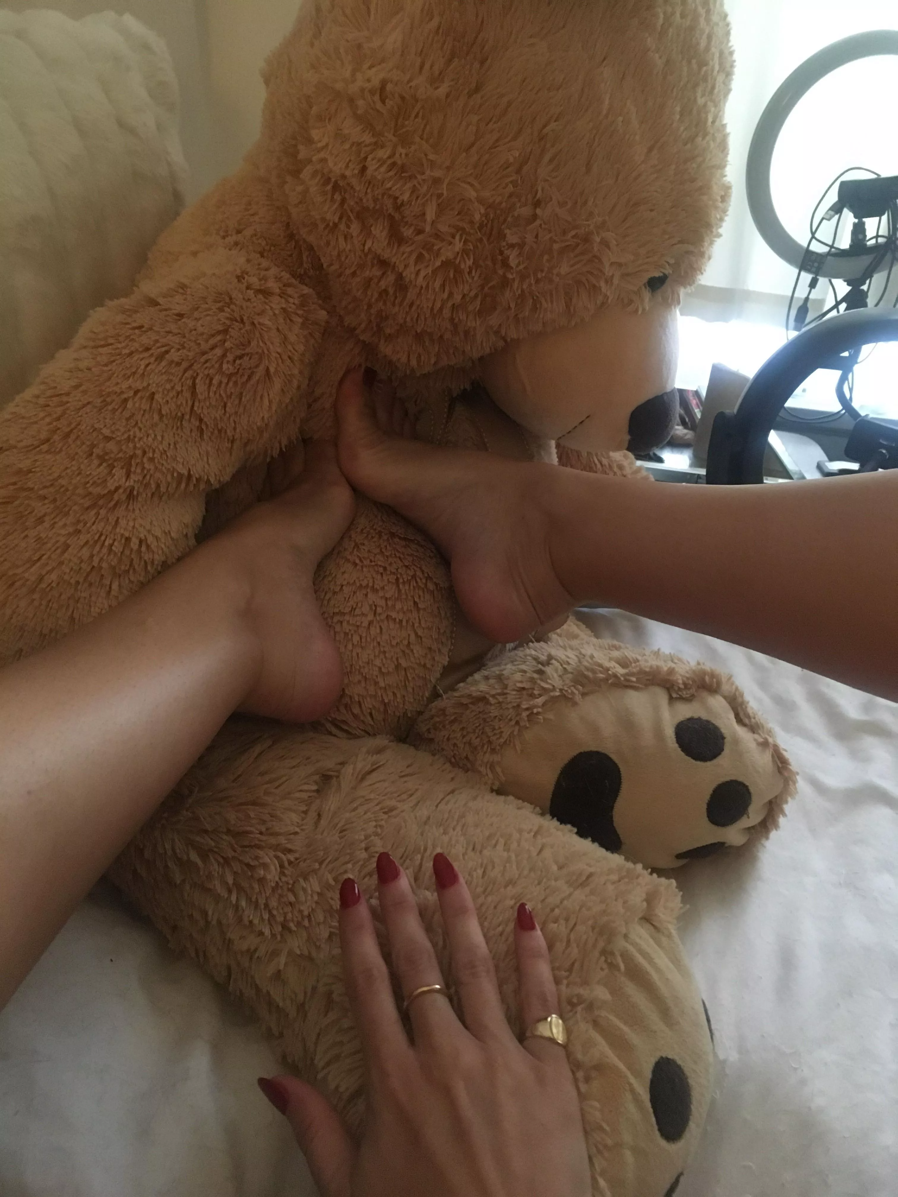 wanna be my teddy?