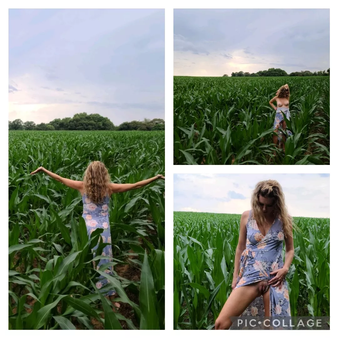 Wanna cum play in my corn field?