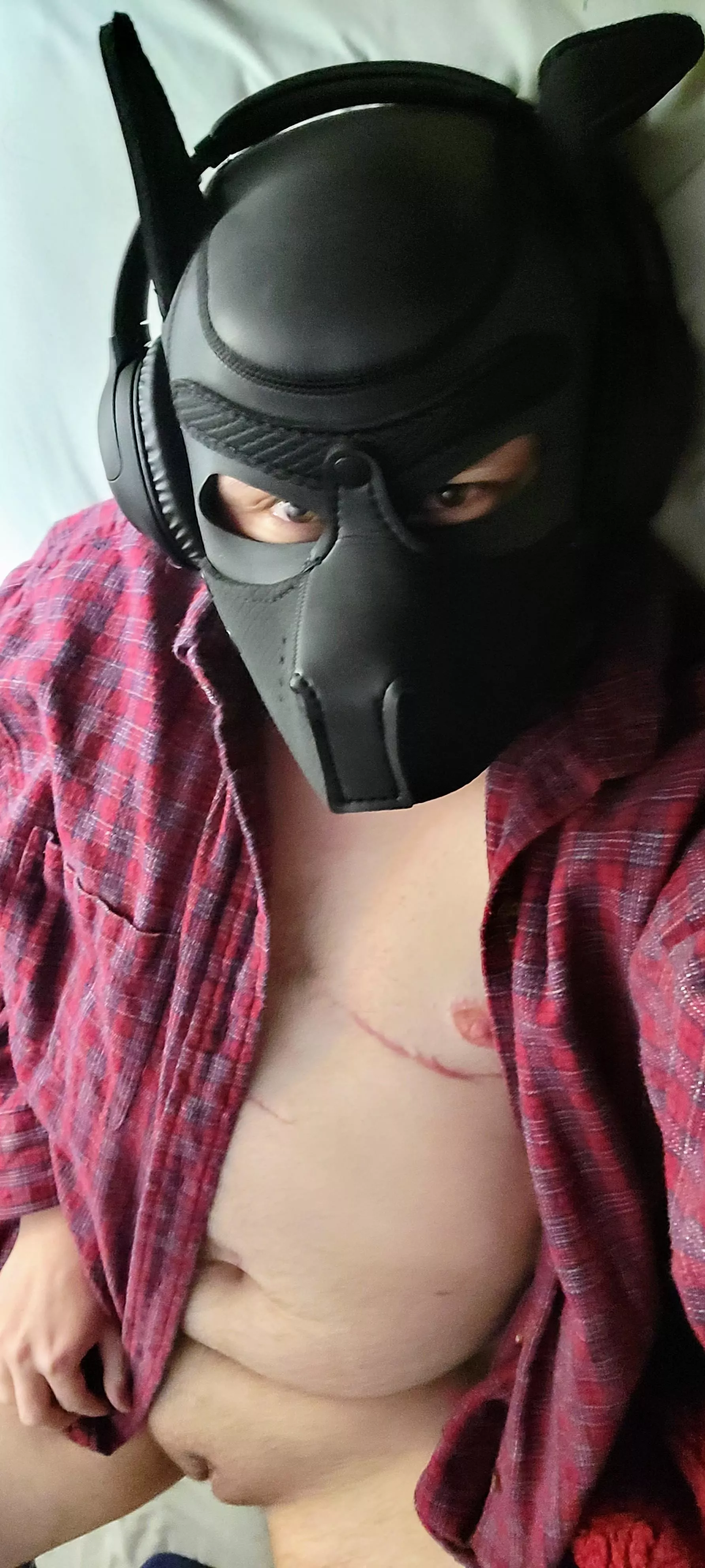 Wanna get ruff with this horny trans pup? (DMs welcome! 🥰)