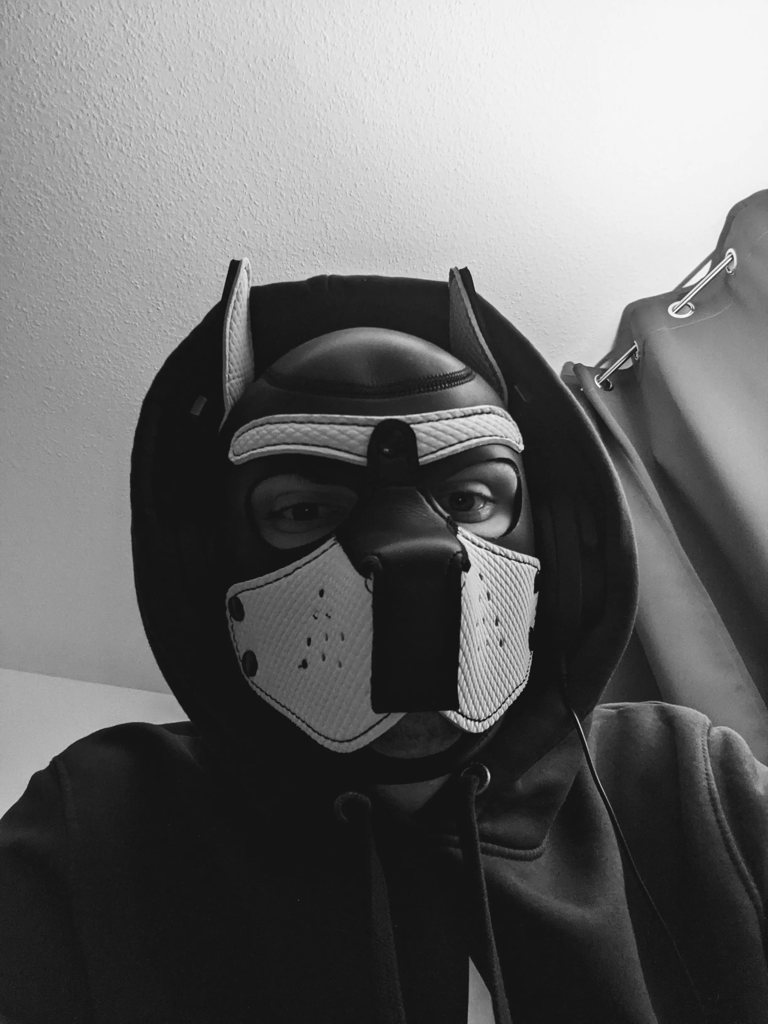 wearing this hood feels kind of empowering, like I'm expressing a part of myself that I have never explored before 🐺 thank you pups so much for your support and warm welcomes 🤍