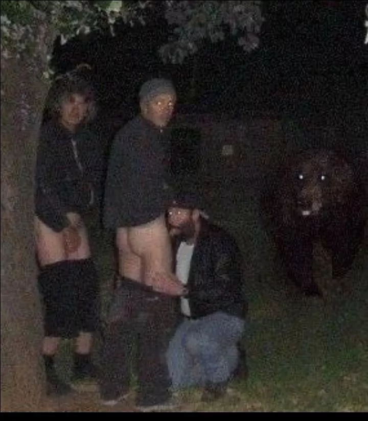 Well, it's not these bears we have to worry about in Australia.