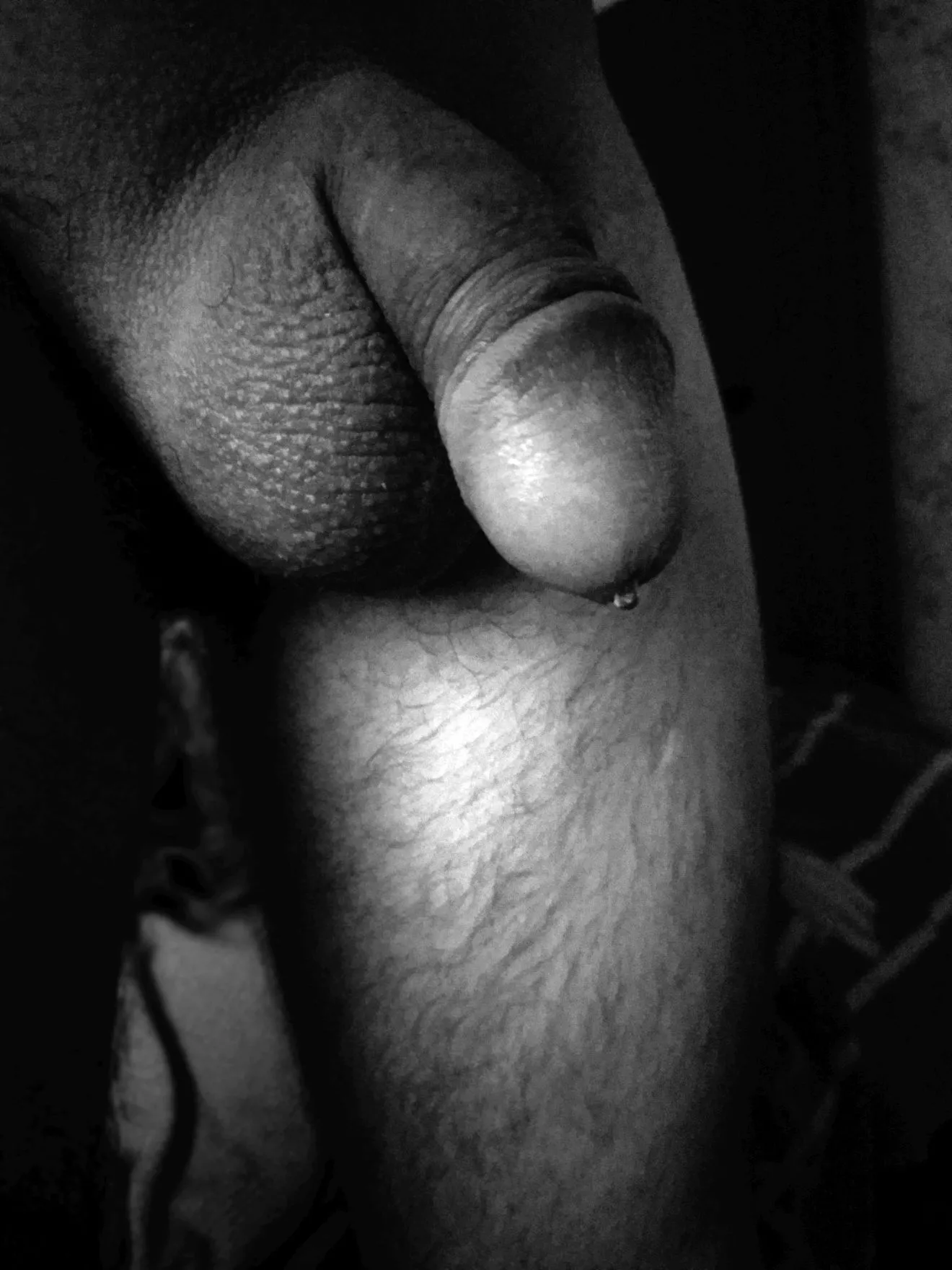 Wet and B&W sweet precum cock